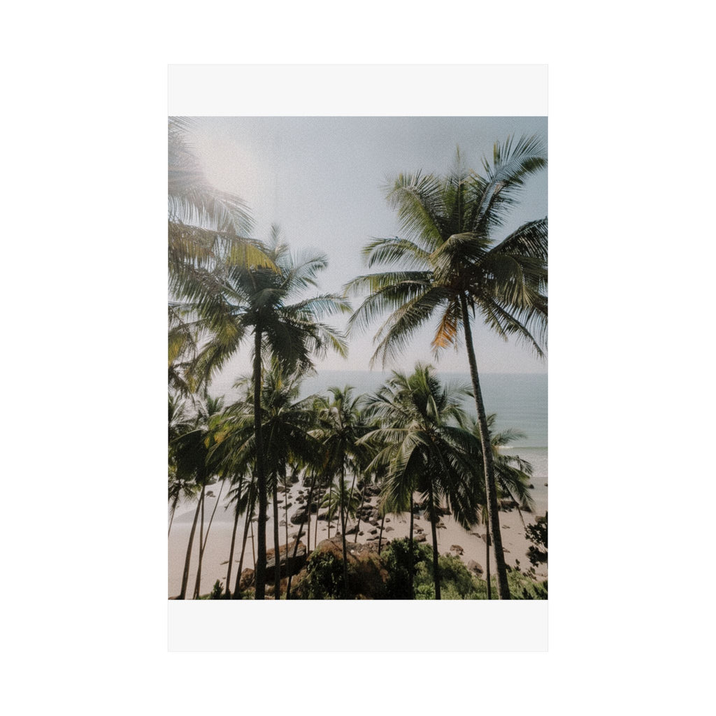 Cinematic — Palm — Matte Poster