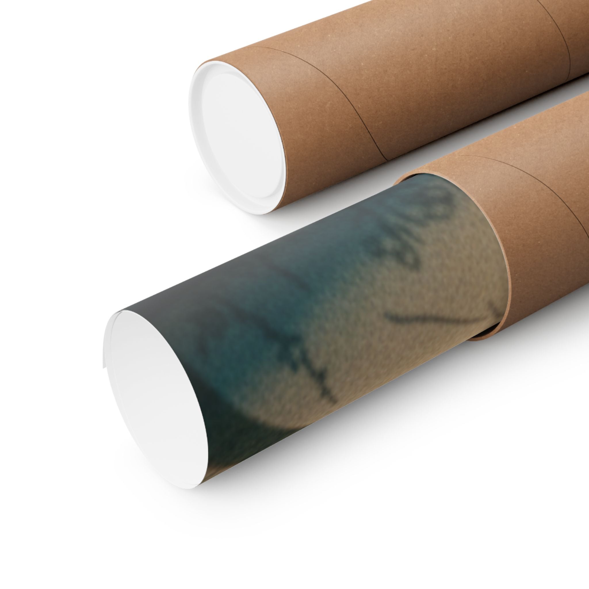 Cinematic — Kakemono And Its Box — Matte Poster