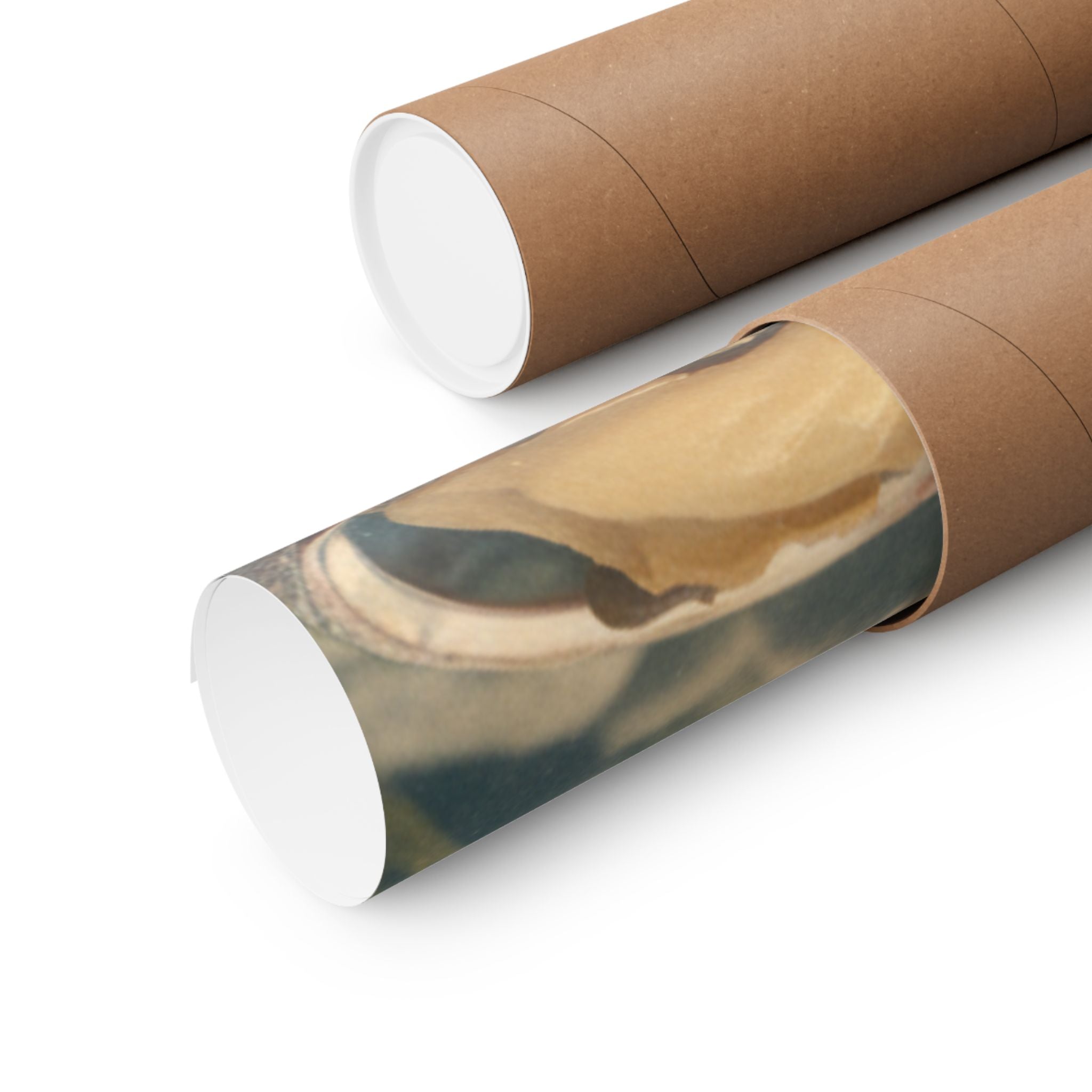Scenic Nature — Shells Under Water — Matte Poster