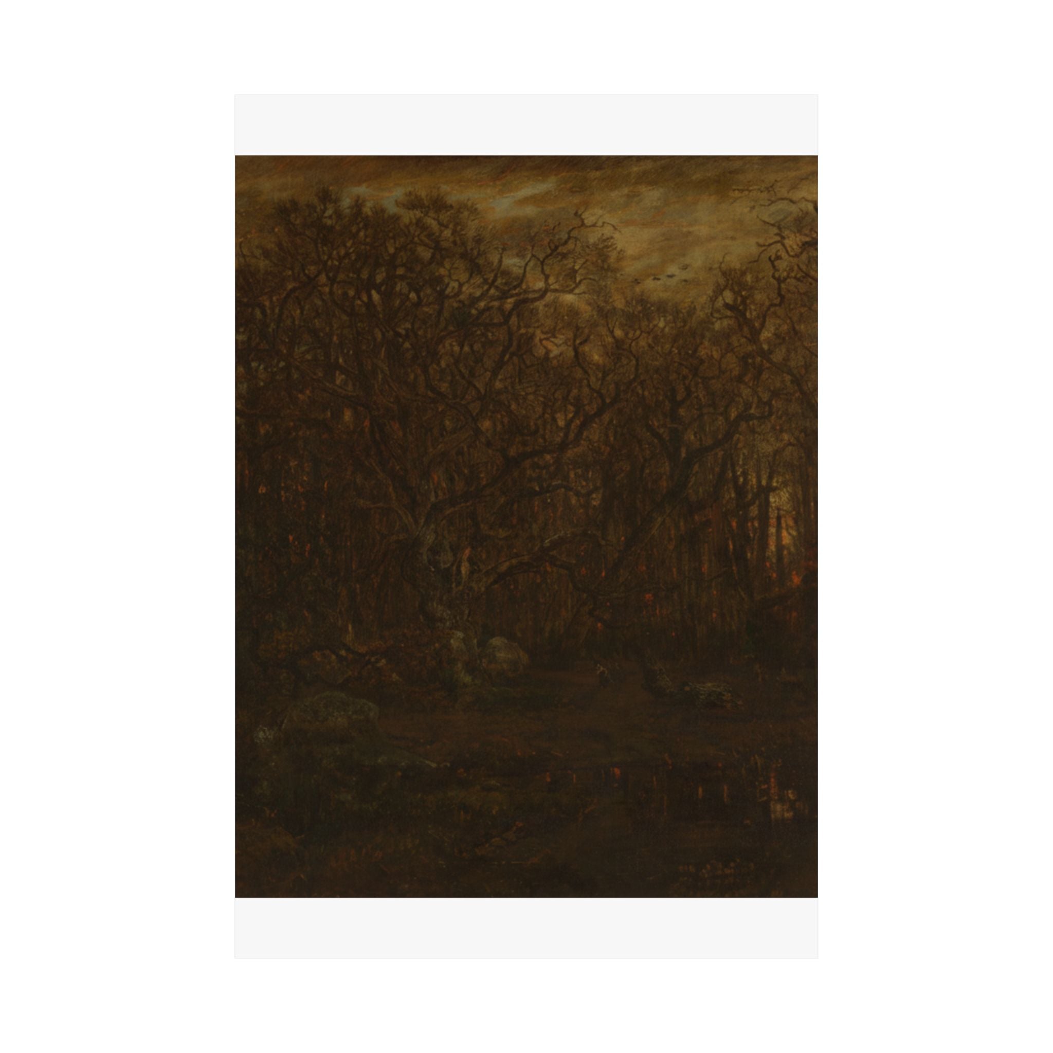 Scenic Nature — Forest — Matte Poster