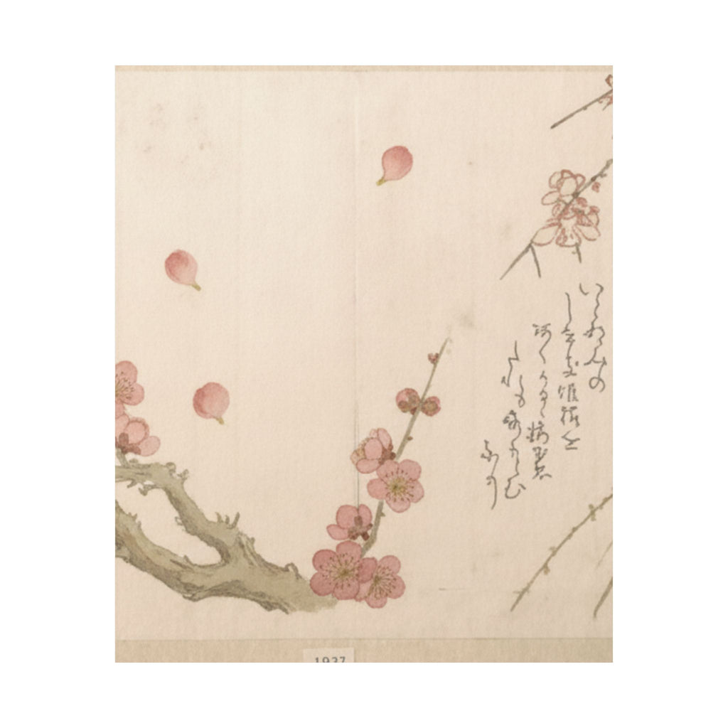 Botanical — Plum Blossom — Matte Poster