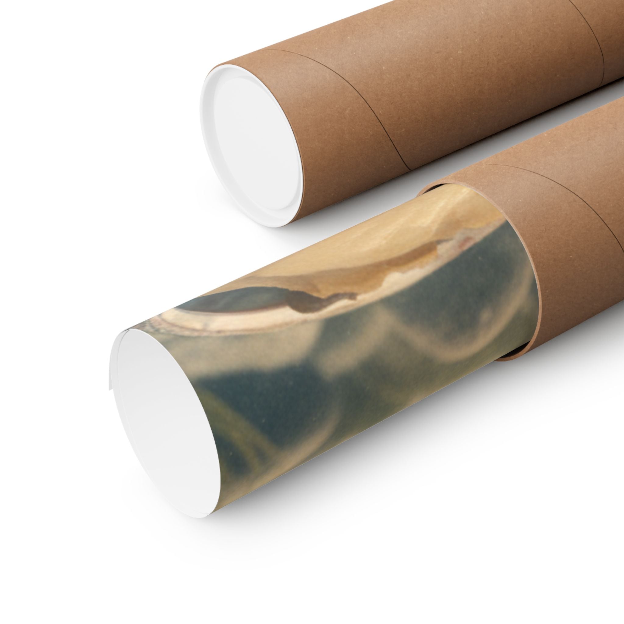 Scenic Nature — Shells Under Water — Matte Poster