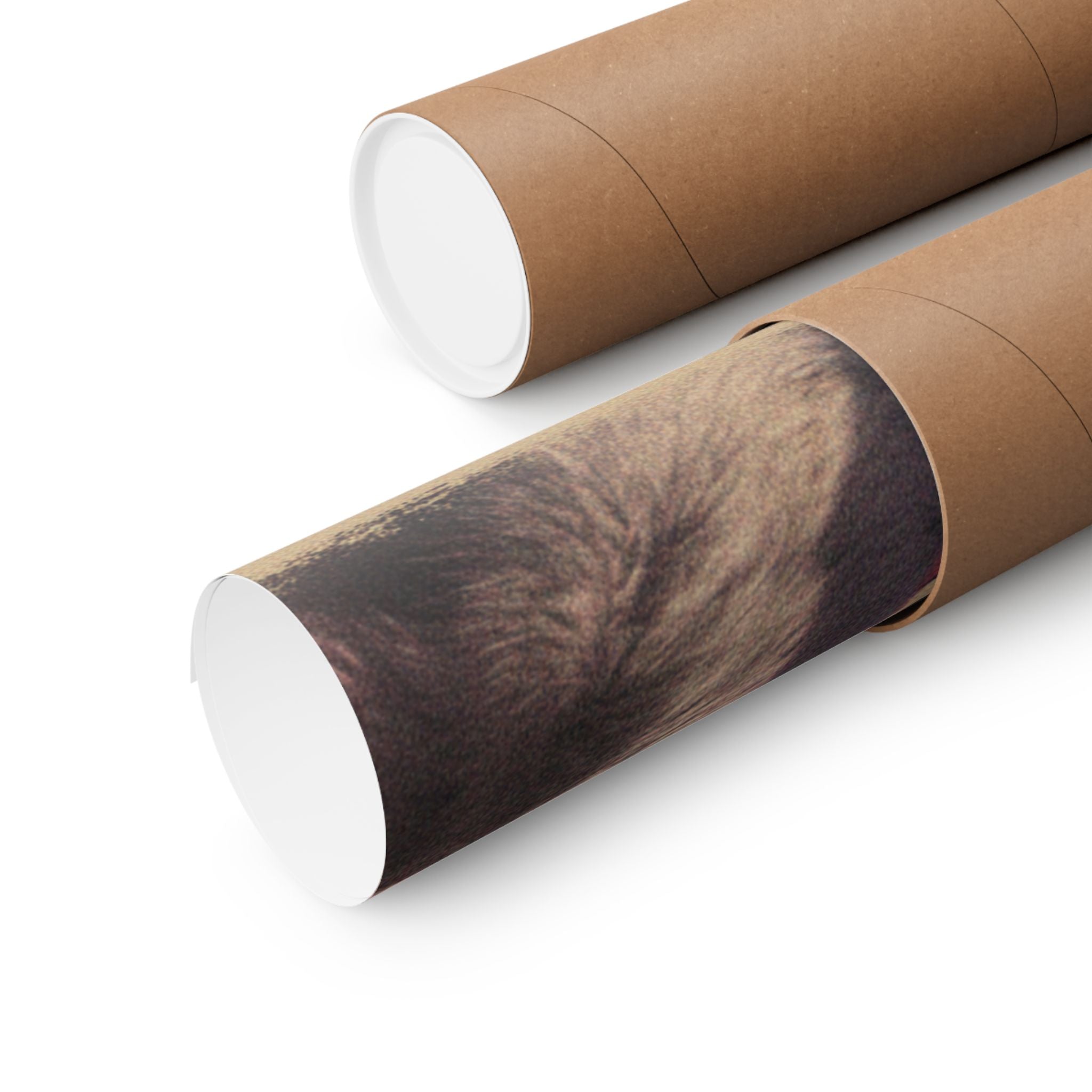 Japanese Street — Dog — Matte Poster