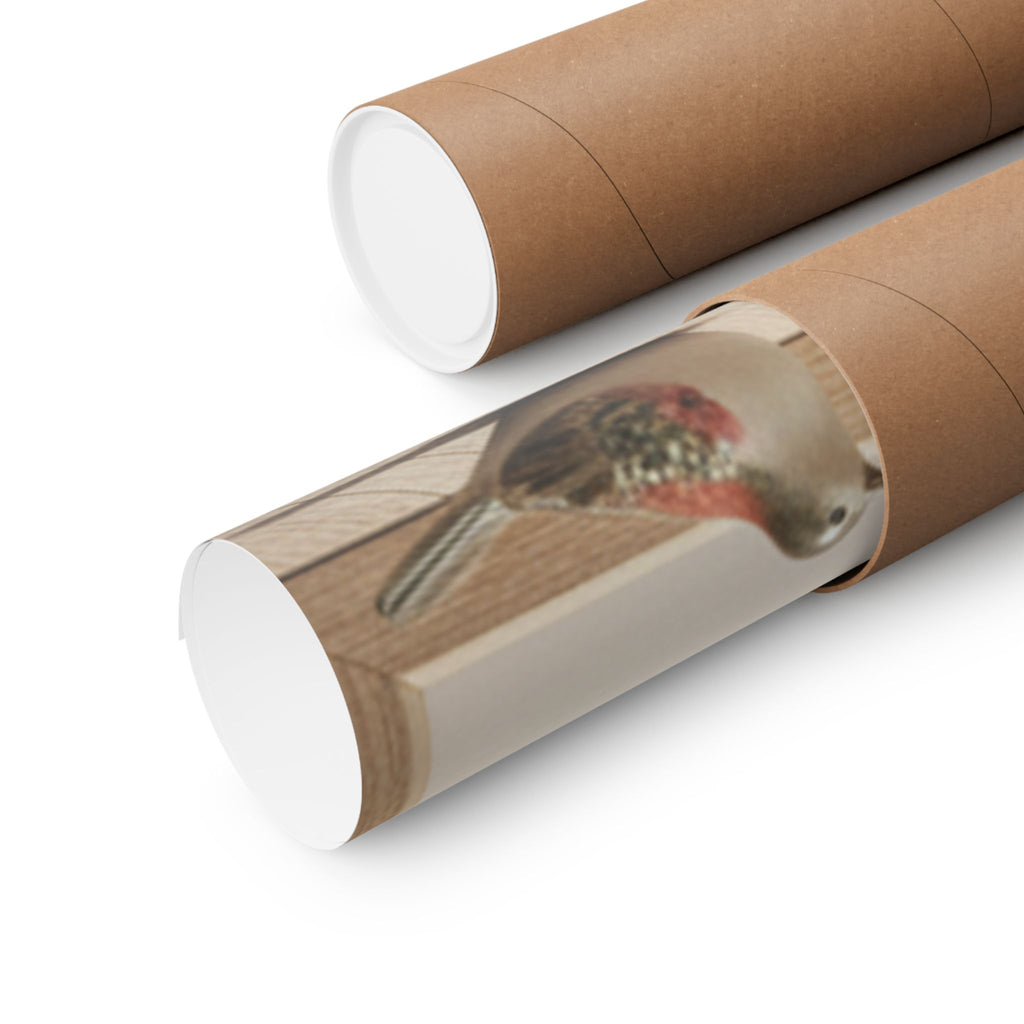 Product Marketing — Boys Playing With A Basin Of Fish And Turtles — Matte Poster