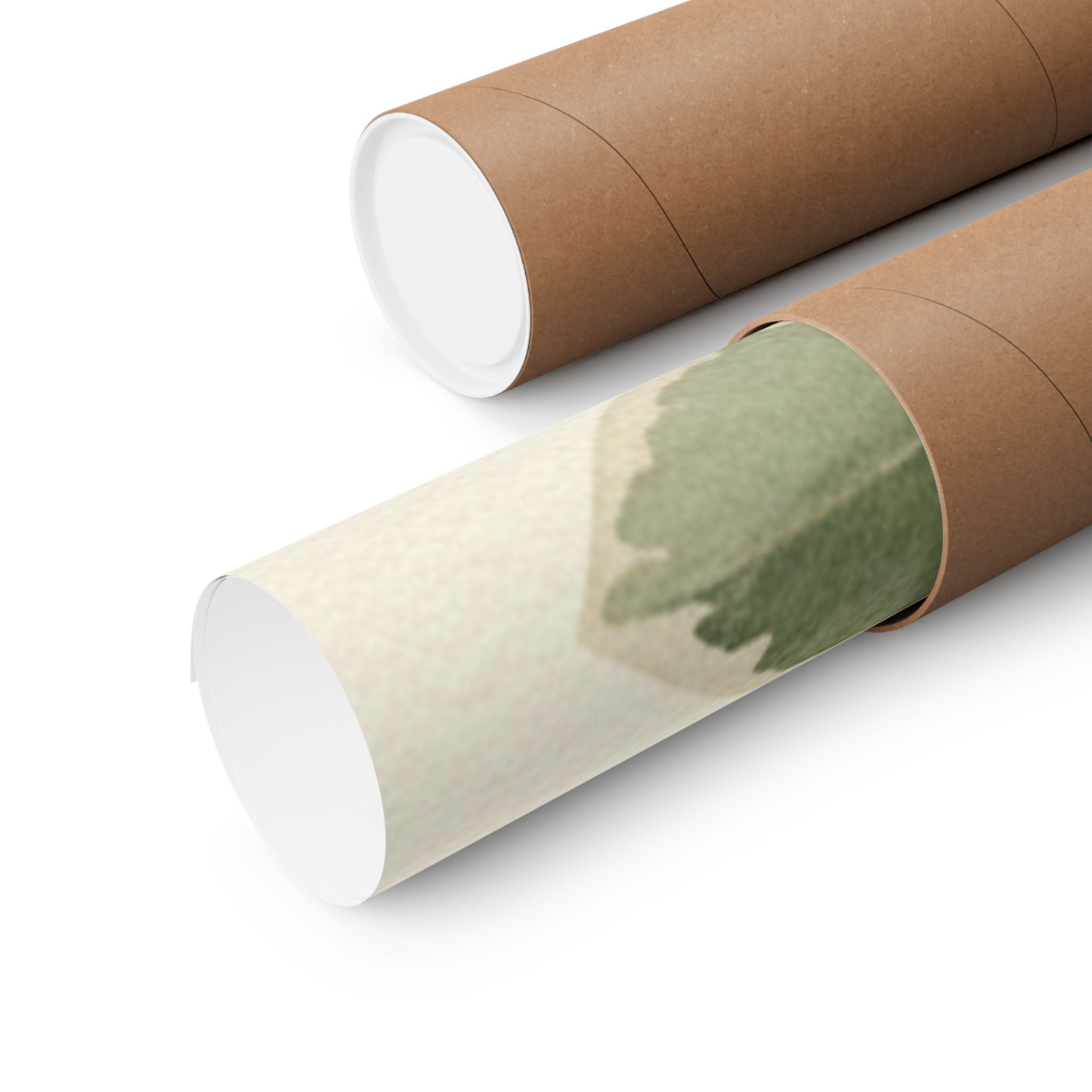 Botanical — Plant — Matte Poster