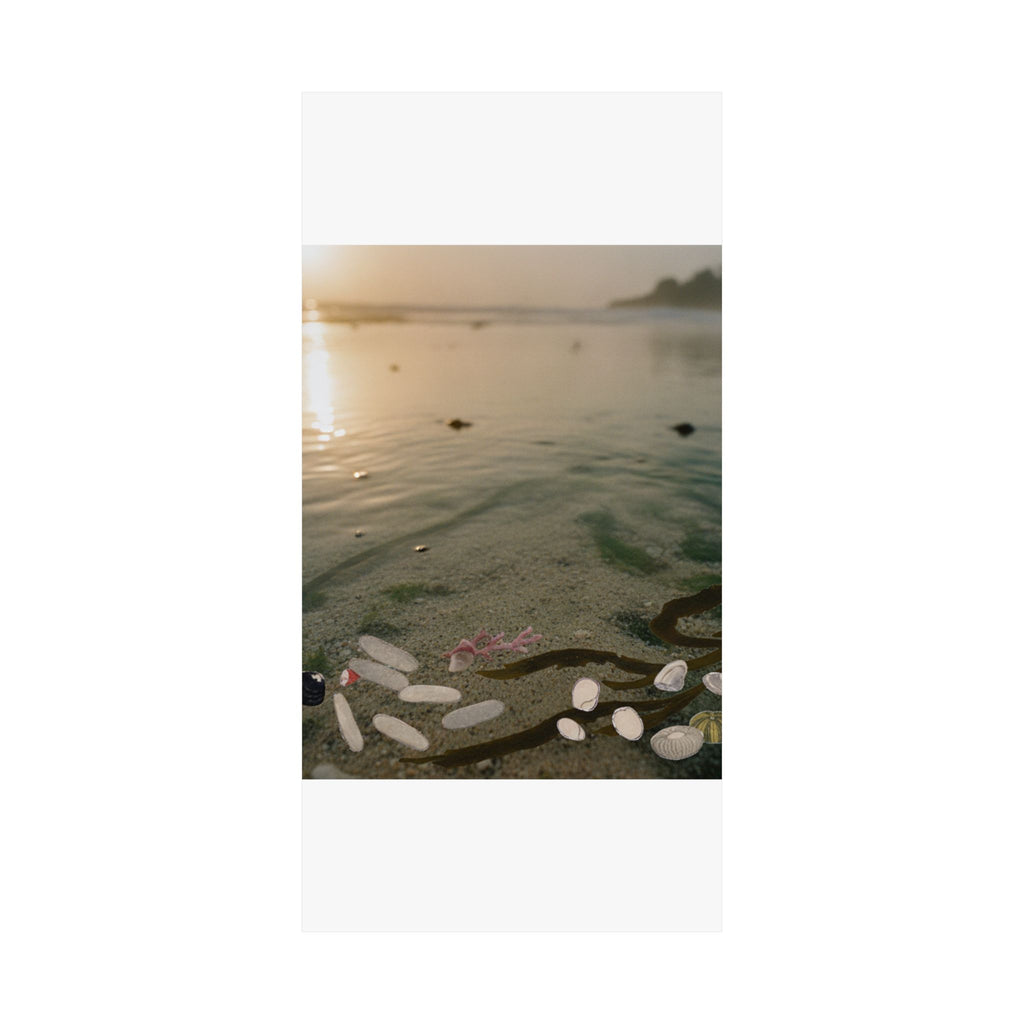 Scenic Nature — Shells Under Water — Matte Poster