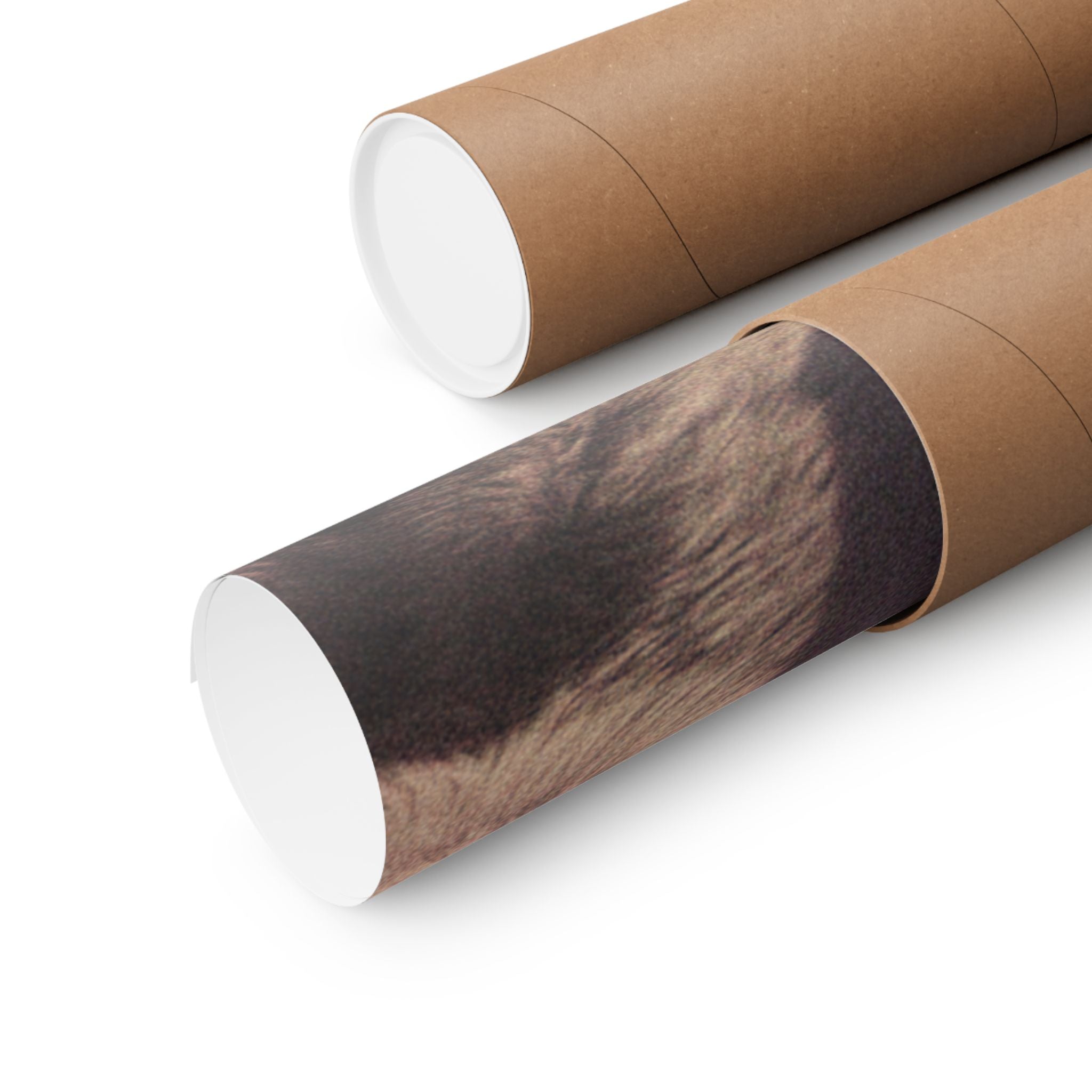 Japanese Street — Dog — Matte Poster