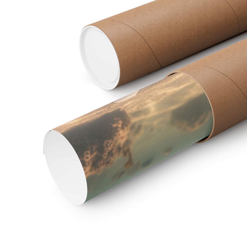 Scenic Nature — Shells Under Water — Matte Poster