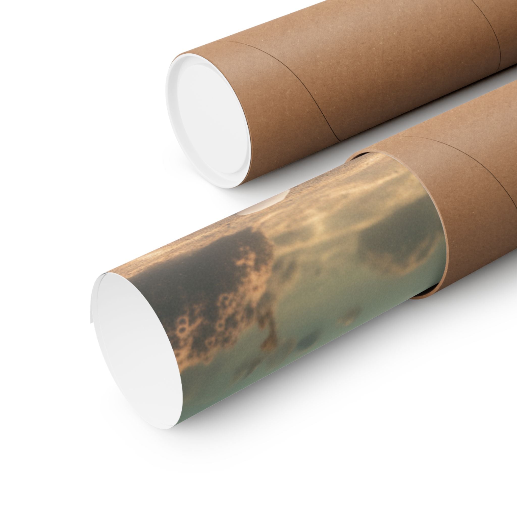 Scenic Nature — Shells Under Water — Matte Poster