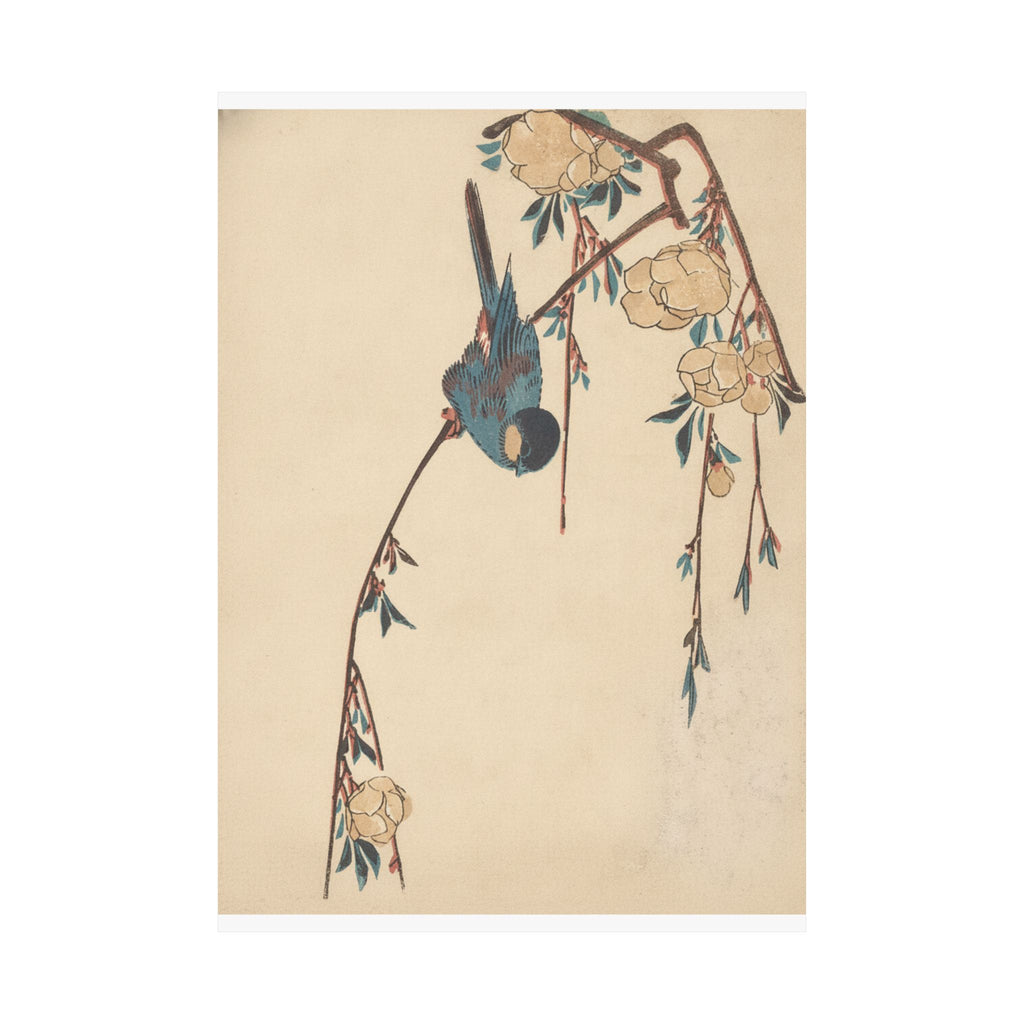 Botanical — Weeping Cherry — Matte Poster