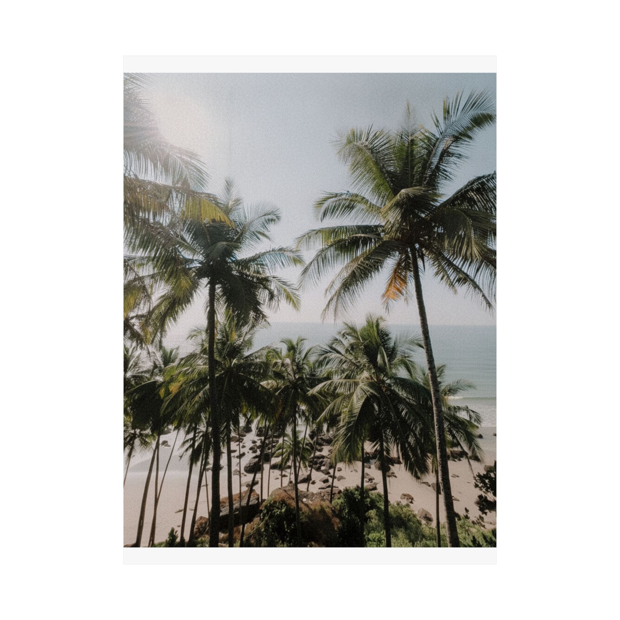 Cinematic — Palm — Matte Poster