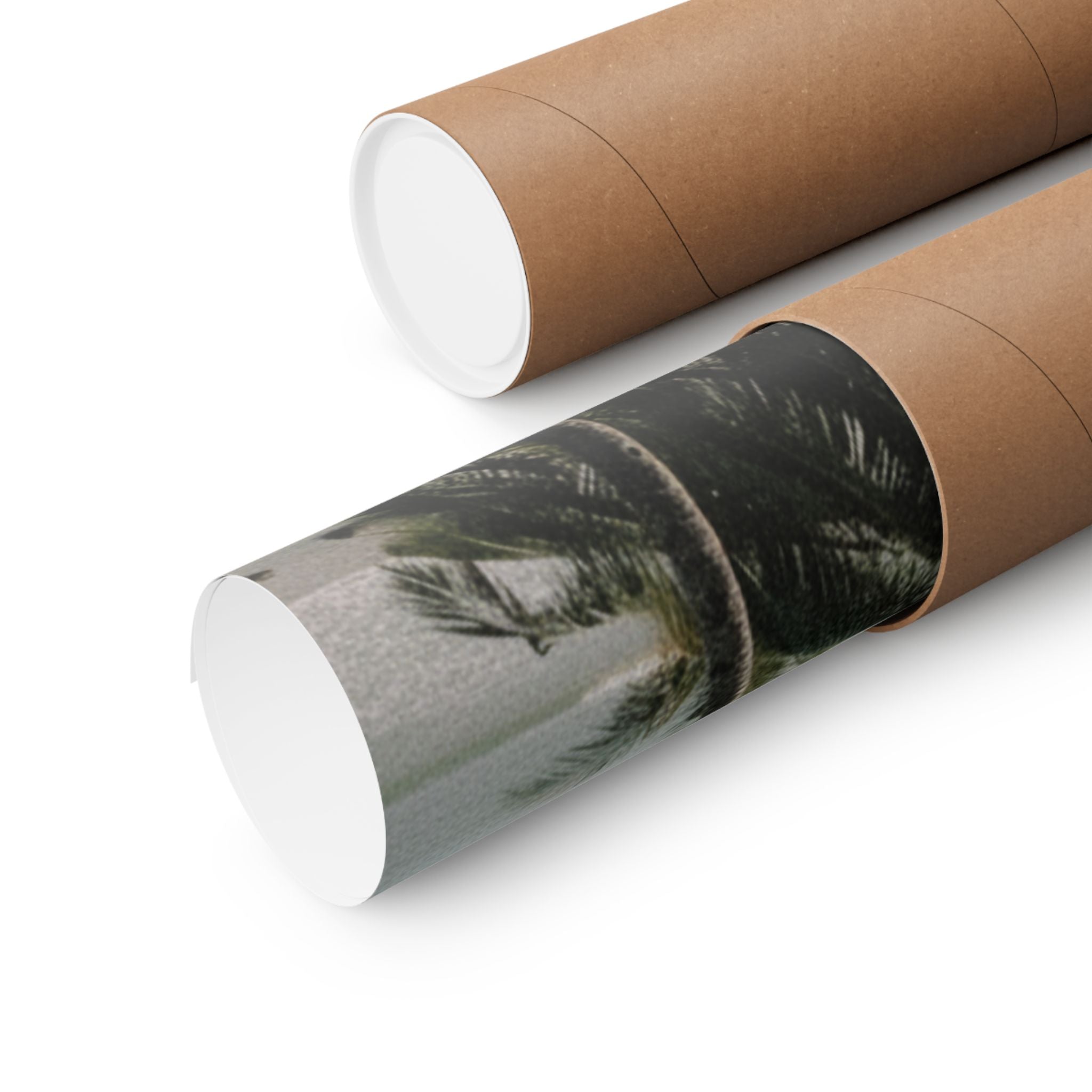 Cinematic — Palm — Matte Poster