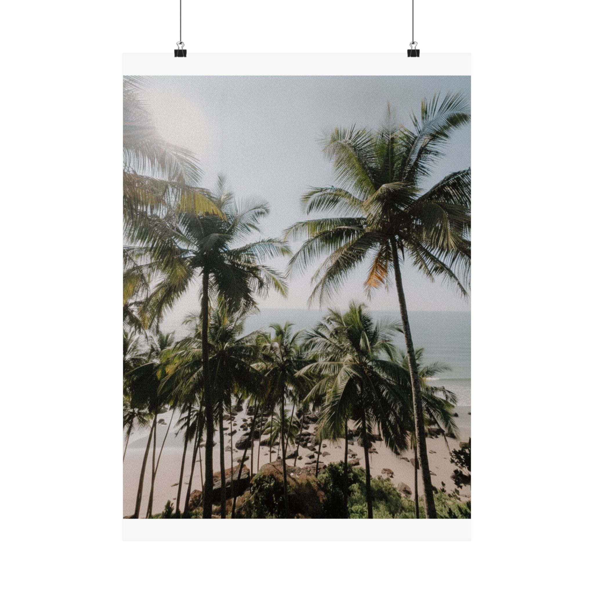 Cinematic — Palm — Matte Poster
