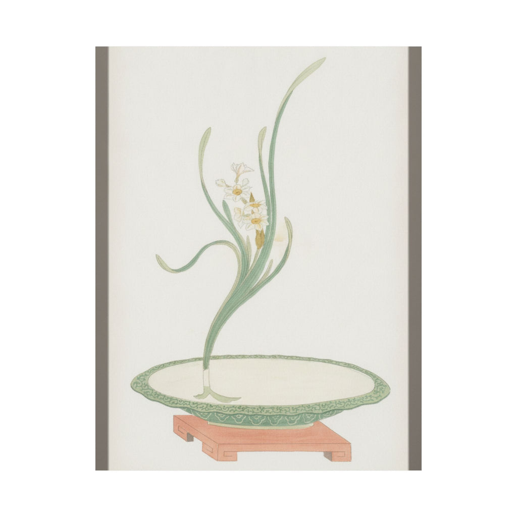 Watercolor — Flower Arrangement Of Suisen (Narcissus) In A Flat Green Dish — Matte Poster