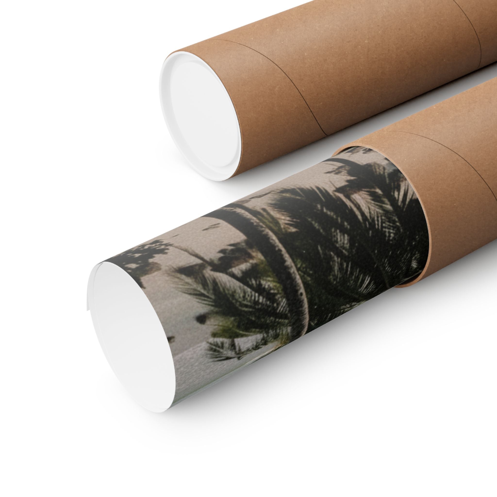 Cinematic — Palm — Matte Poster