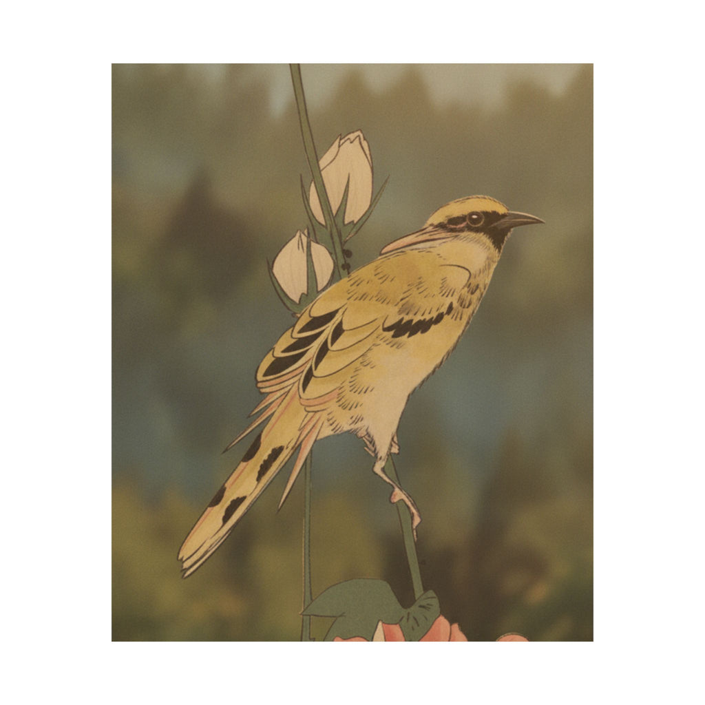 Scenic Nature — Black-Naped Oriole Perched On A Stem Of Rose Mallow — Matte Poster