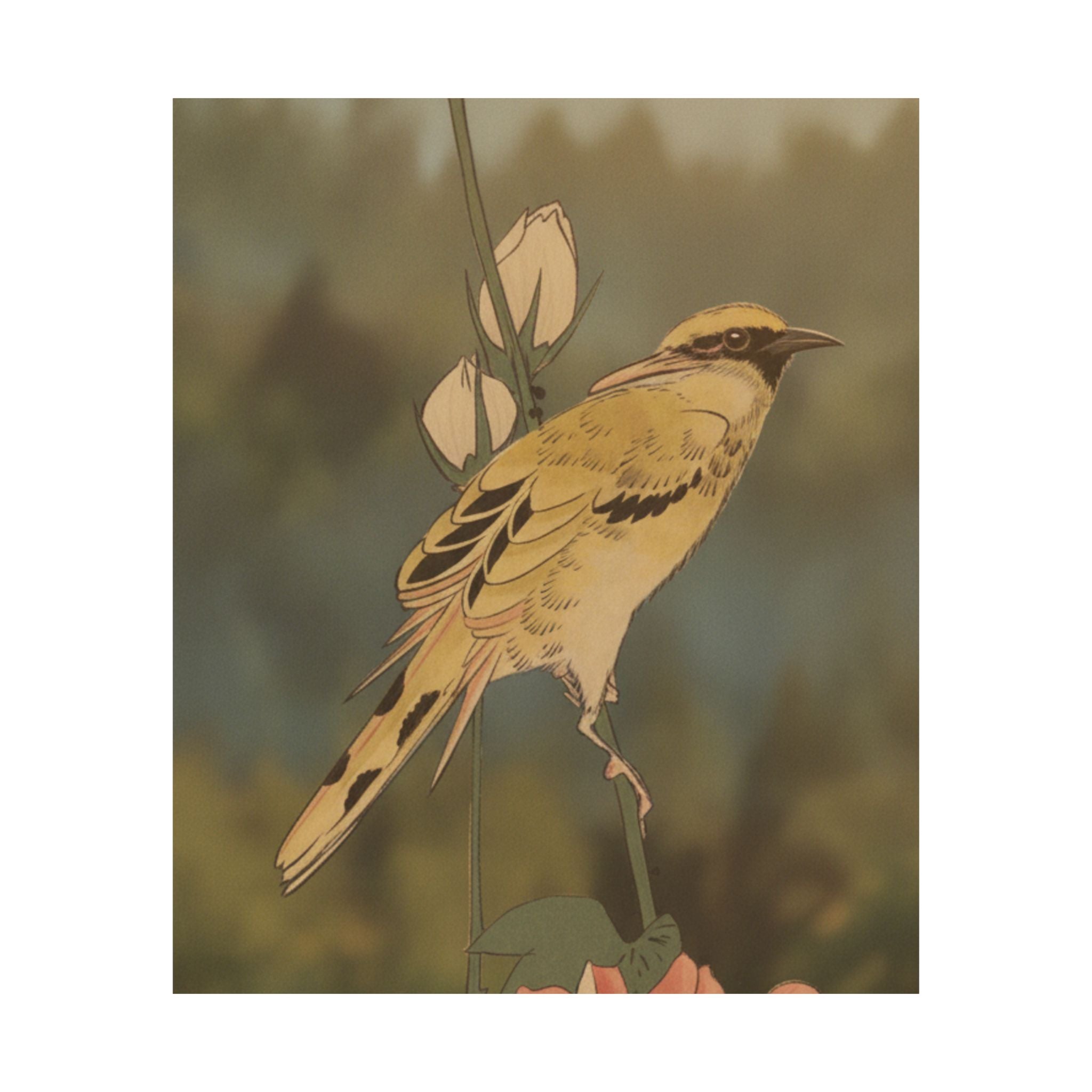Scenic Nature — Black-Naped Oriole Perched On A Stem Of Rose Mallow — Matte Poster
