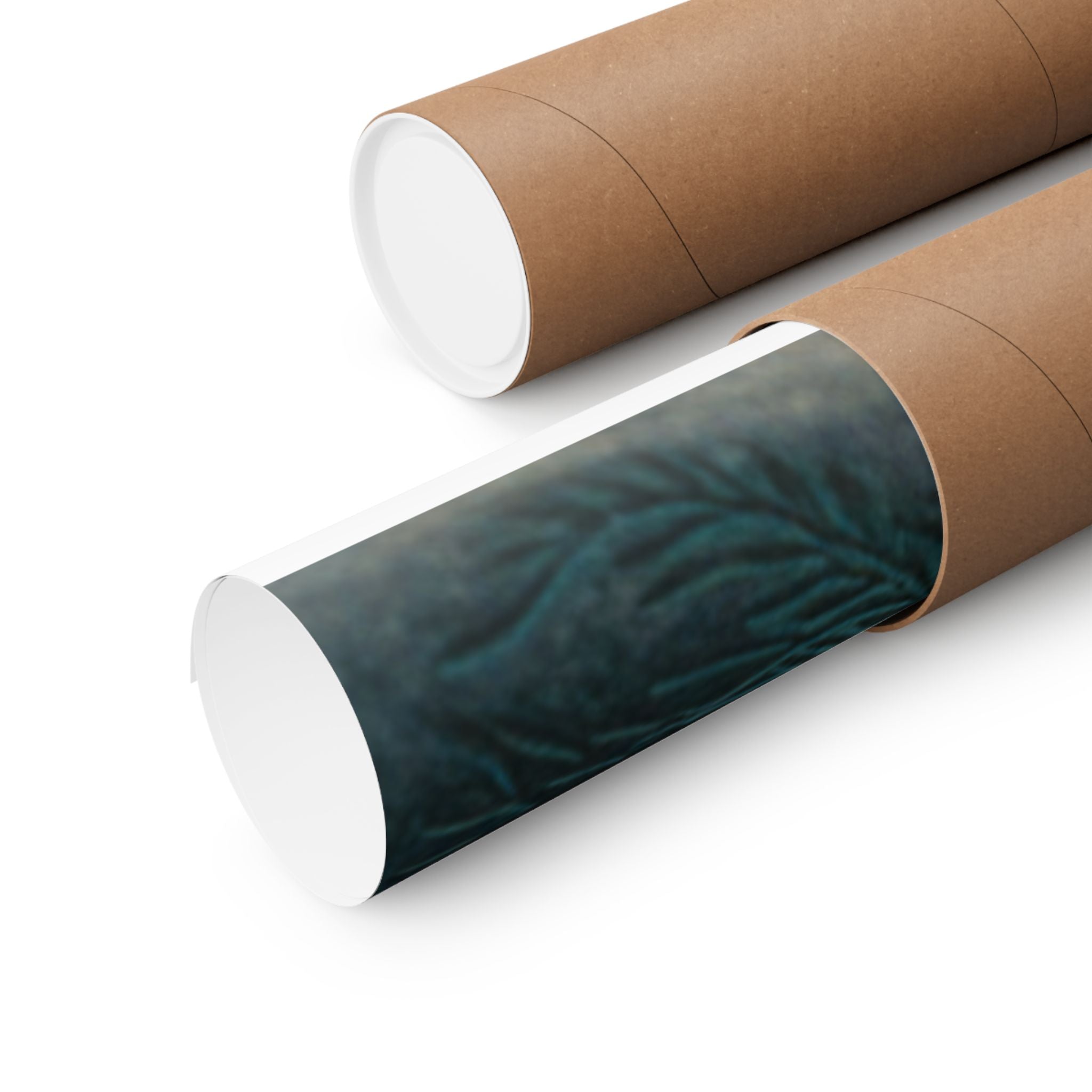 Scenic Nature — Shells Under Water — Matte Poster