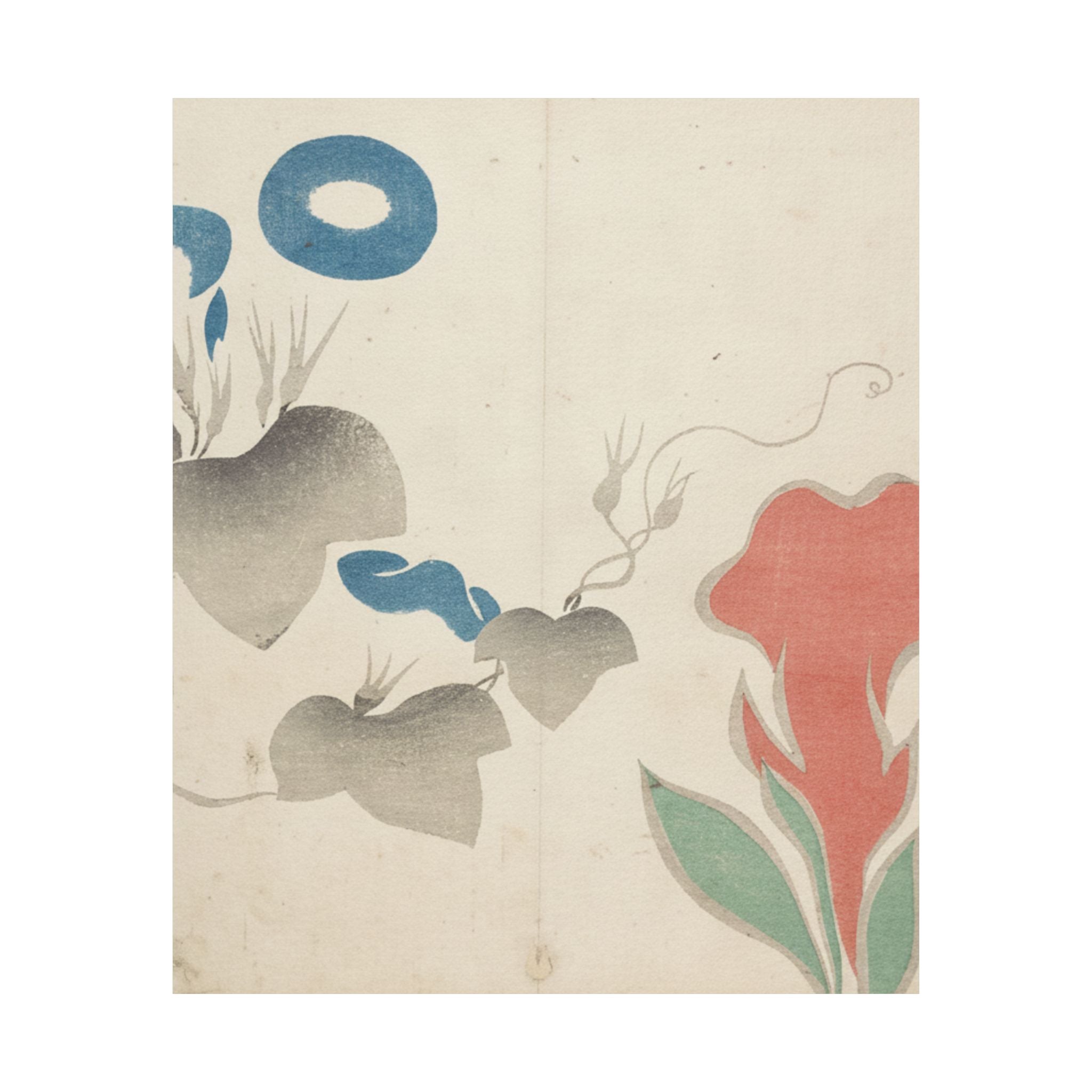 Watercolor — Design Of Morning–Glory And Other Flowers — Matte Poster