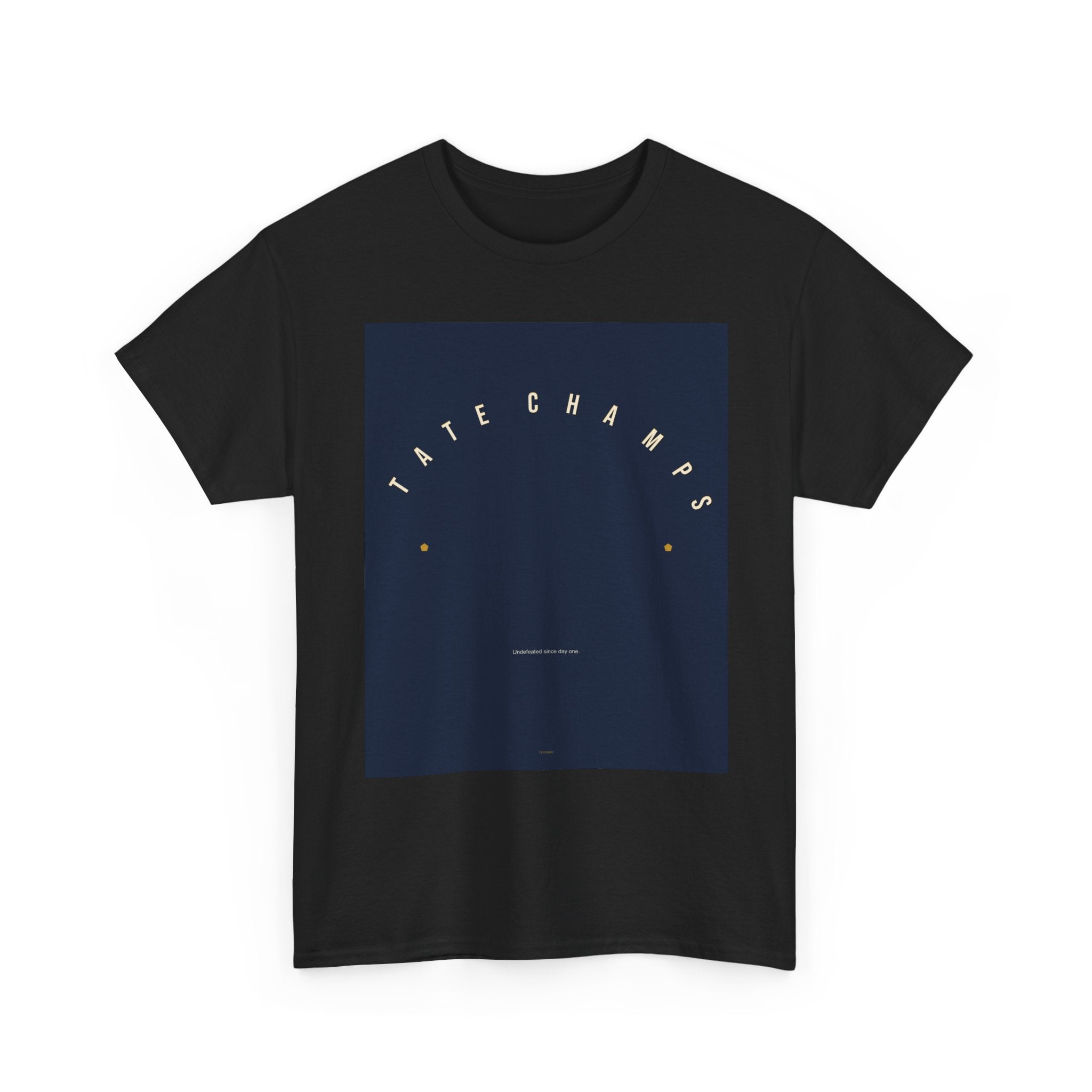 STATE CHAMPS graphic tee — product view 3