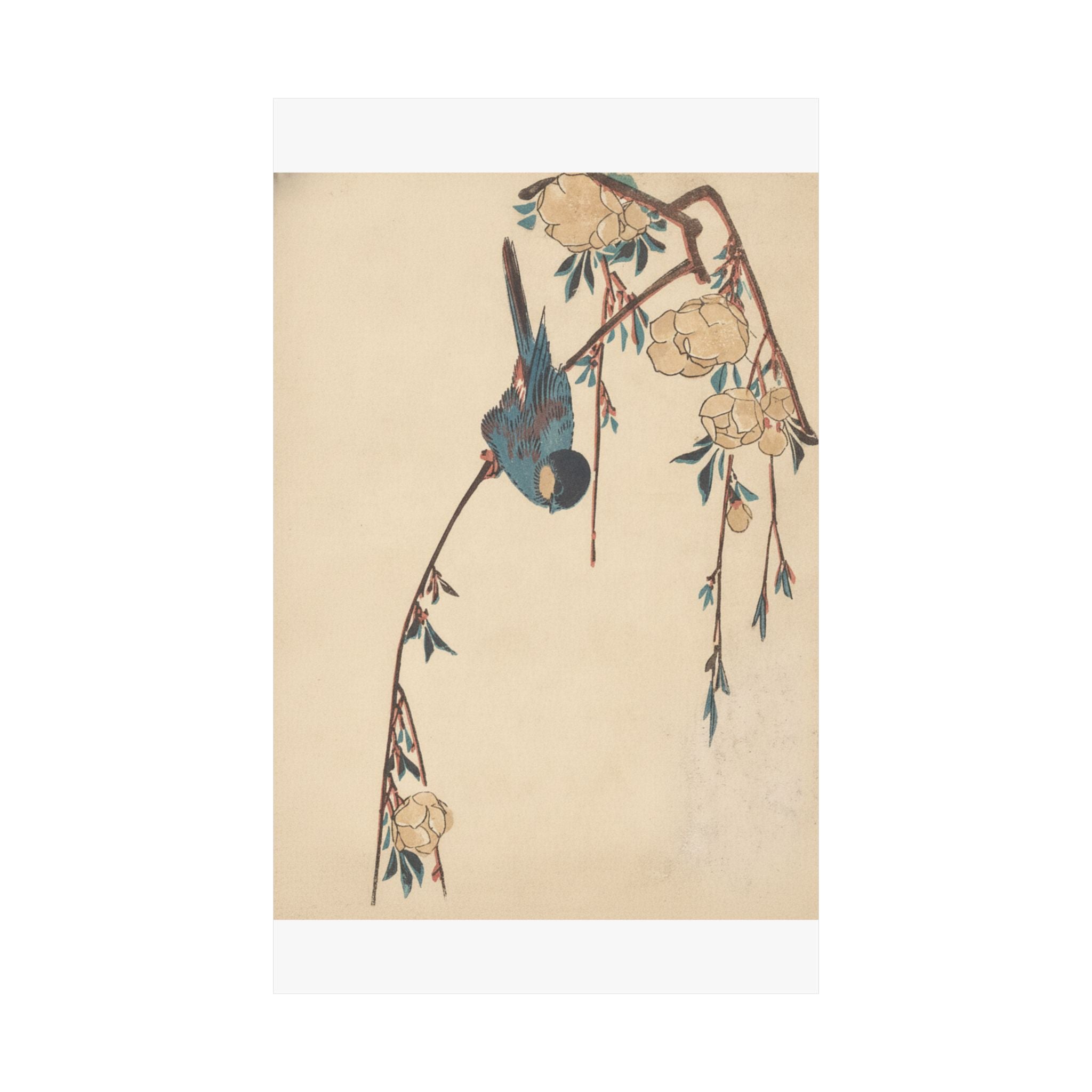 Botanical — Weeping Cherry — Matte Poster