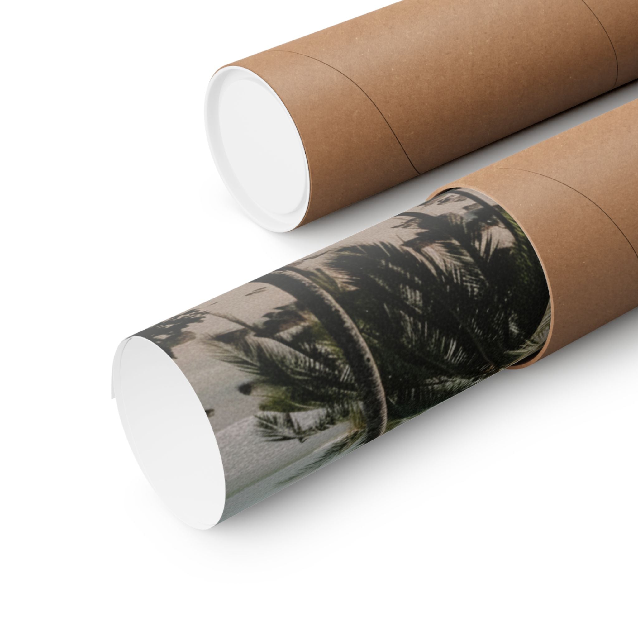 Cinematic — Palm — Matte Poster