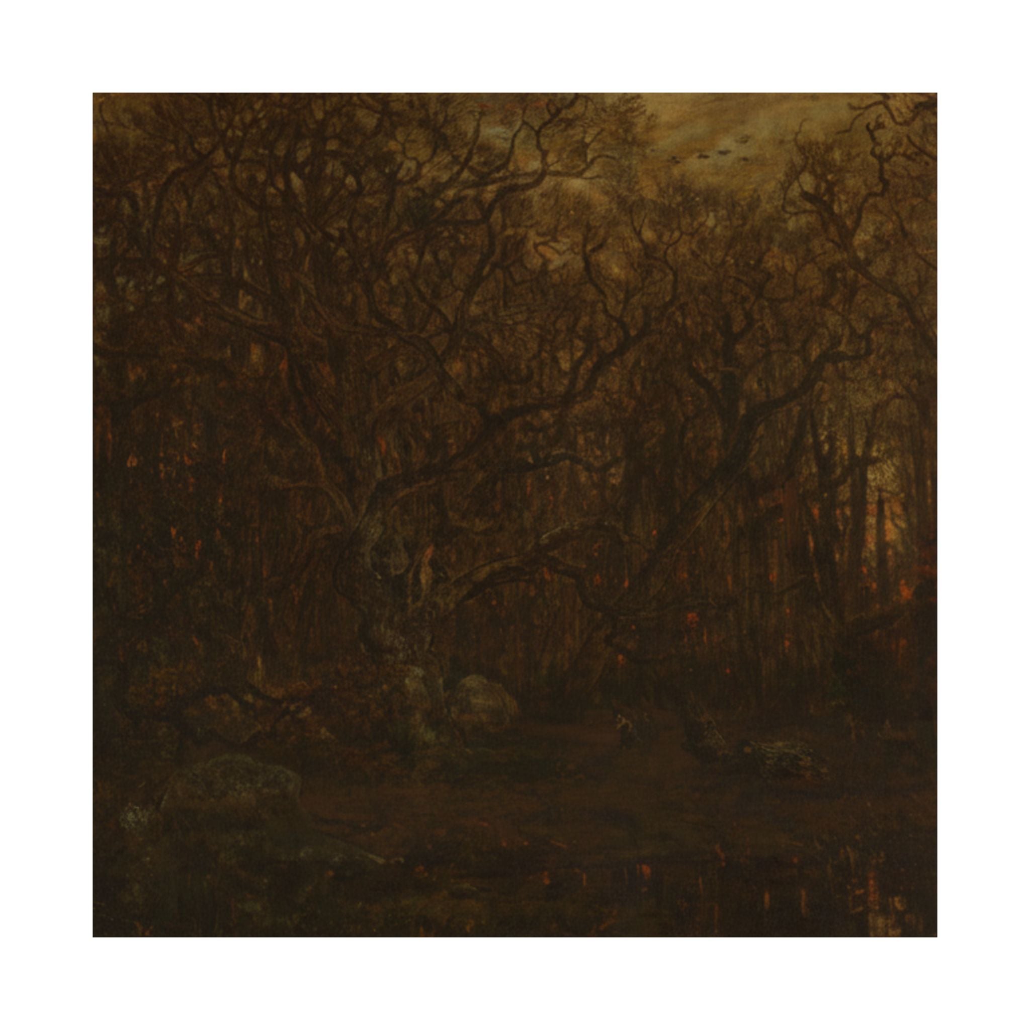 Scenic Nature — Forest — Matte Poster