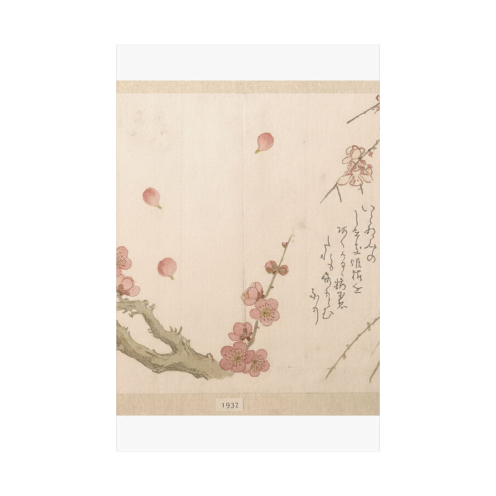 Botanical — Plum Blossom — Matte Poster