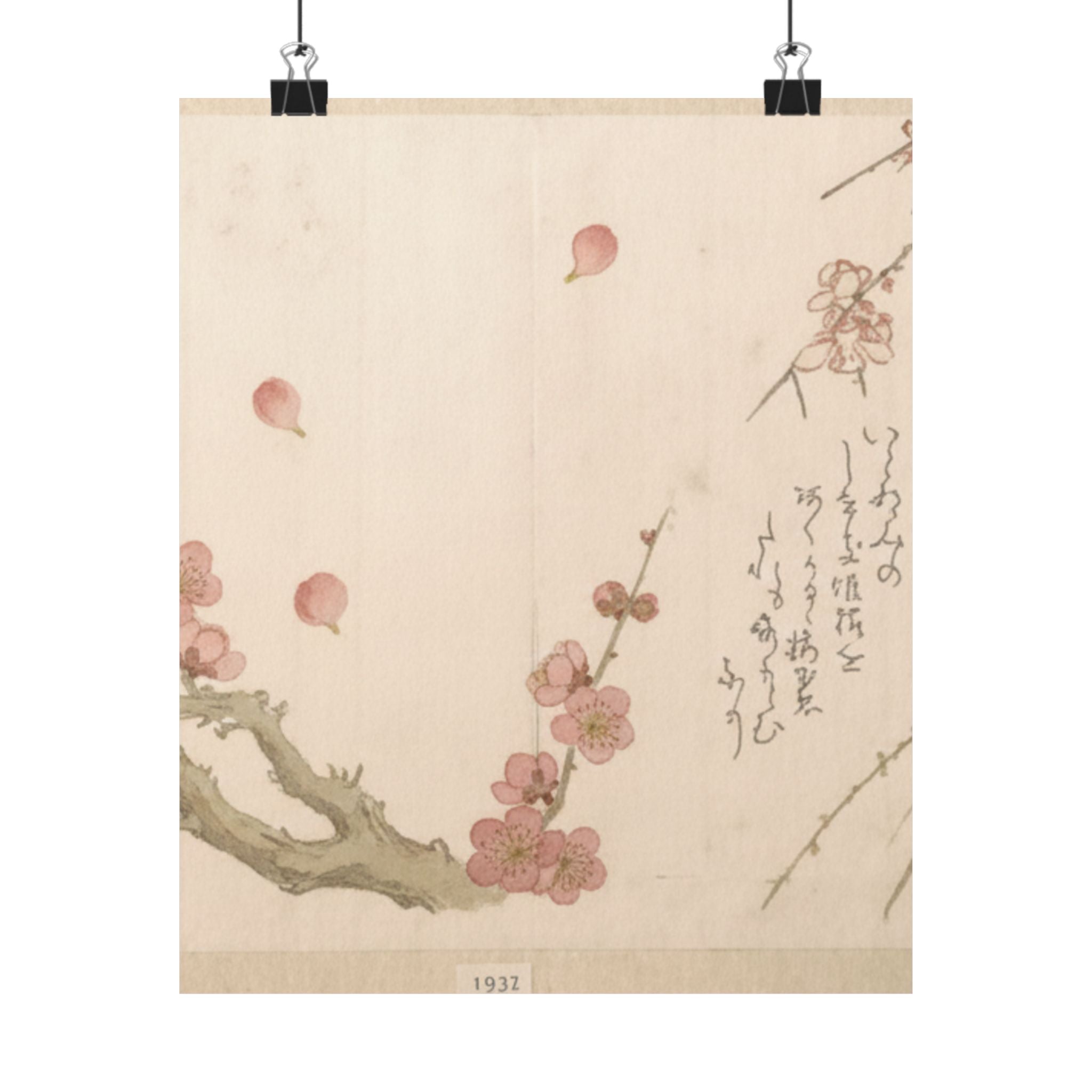 Botanical — Plum Blossom — Matte Poster