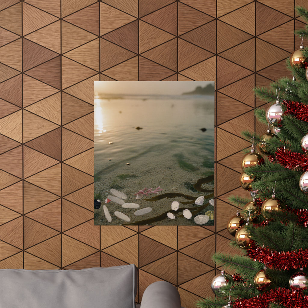 Scenic Nature — Shells Under Water — Matte Poster