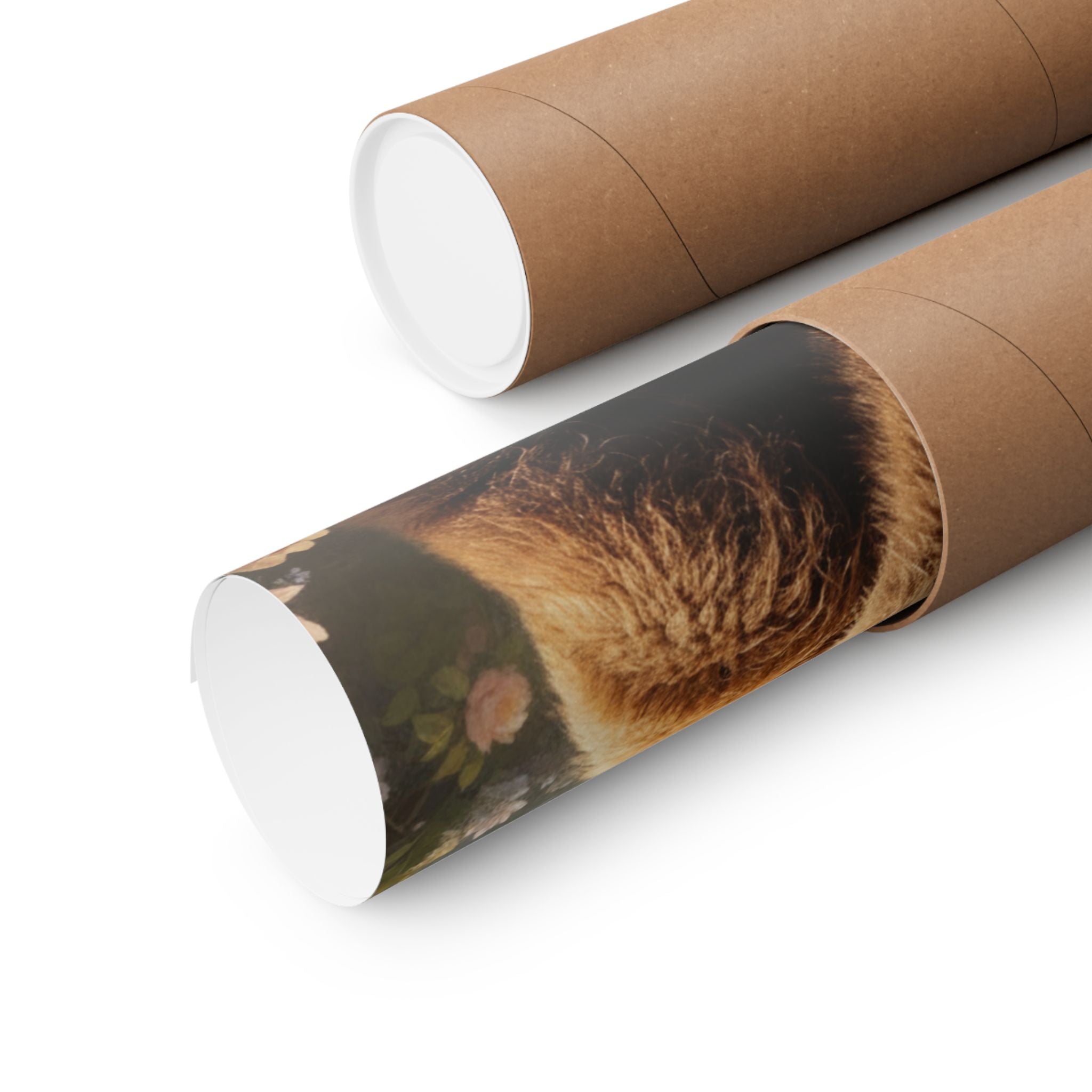 Scenic Nature — Bear — Matte Poster