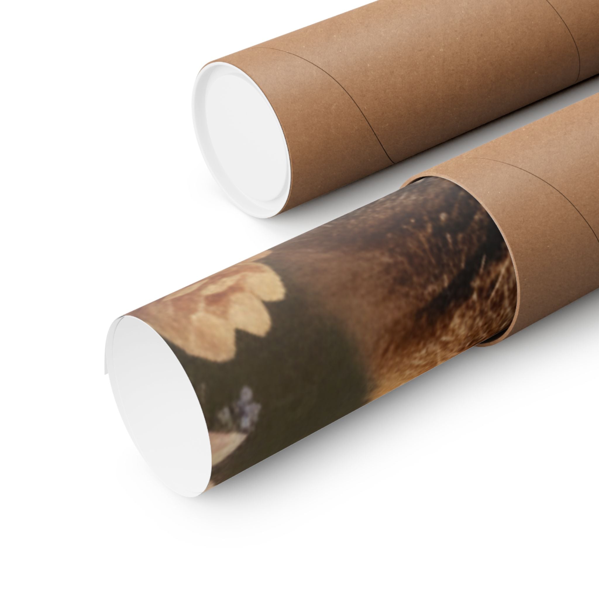 Scenic Nature — Bear — Matte Poster