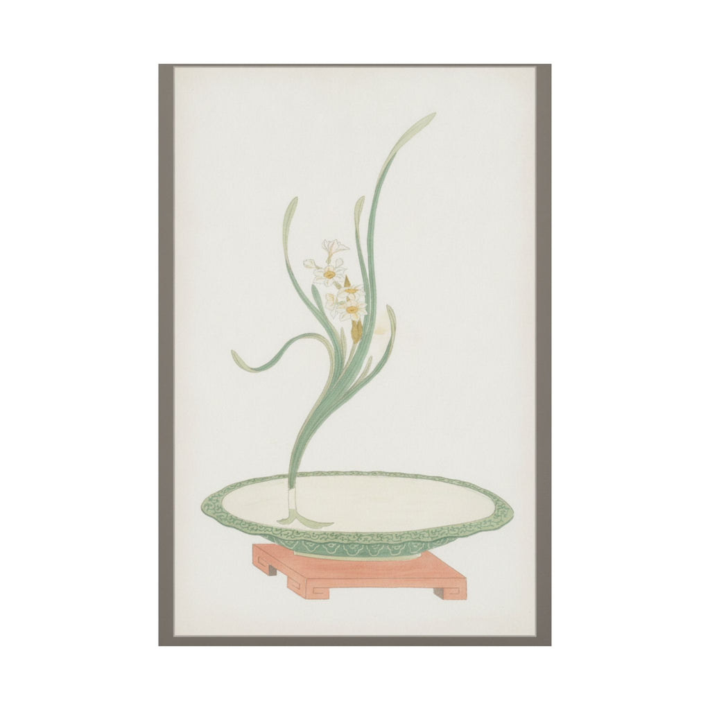 Watercolor — Flower Arrangement Of Suisen (Narcissus) In A Flat Green Dish — Matte Poster