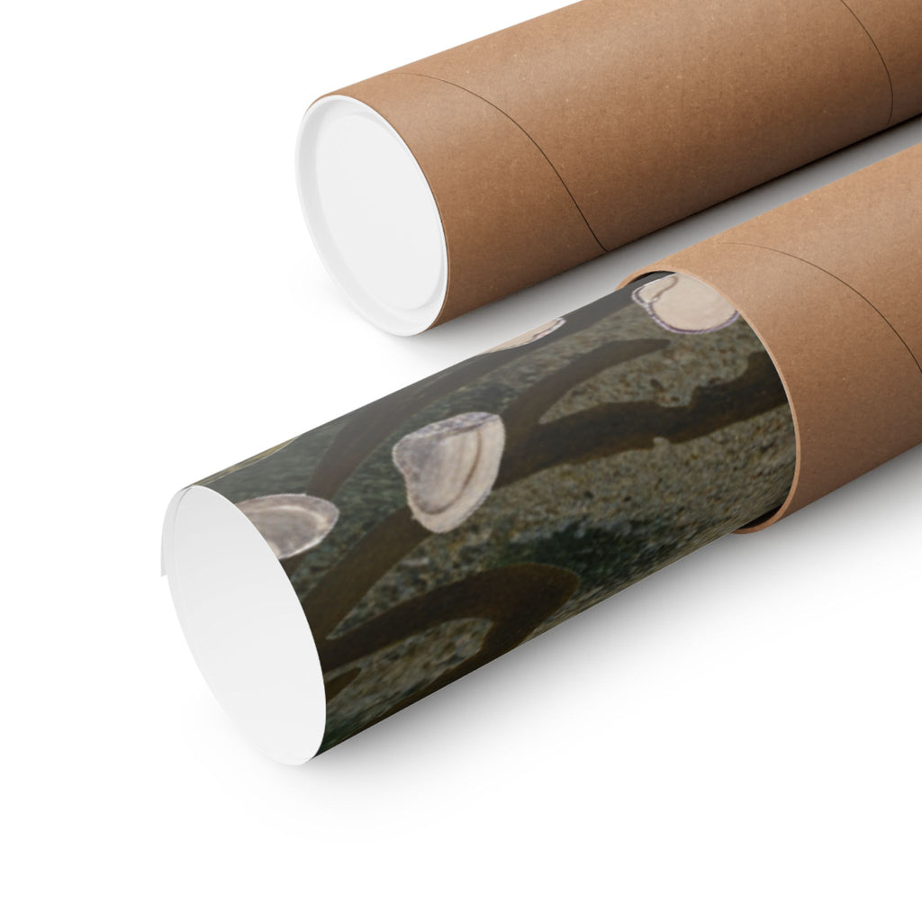 Scenic Nature — Shells Under Water — Matte Poster