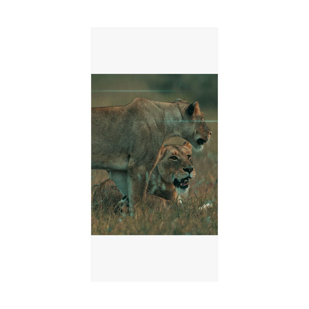 Cinematic — Lions — Matte Poster