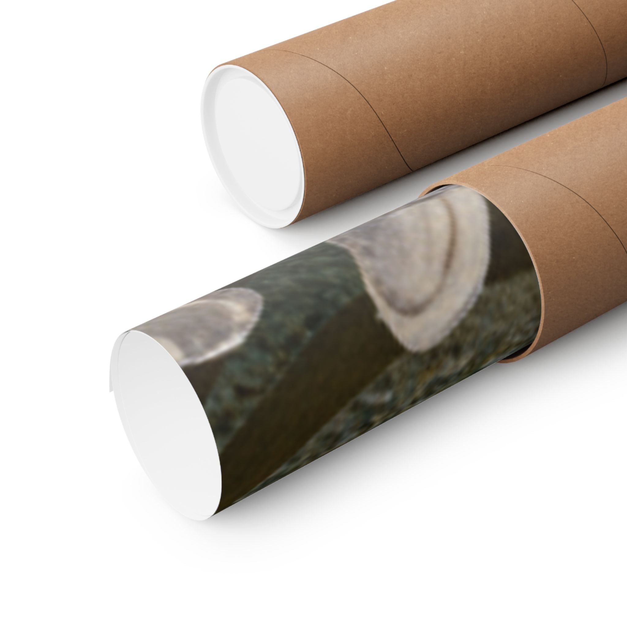 Scenic Nature — Shells Under Water — Matte Poster