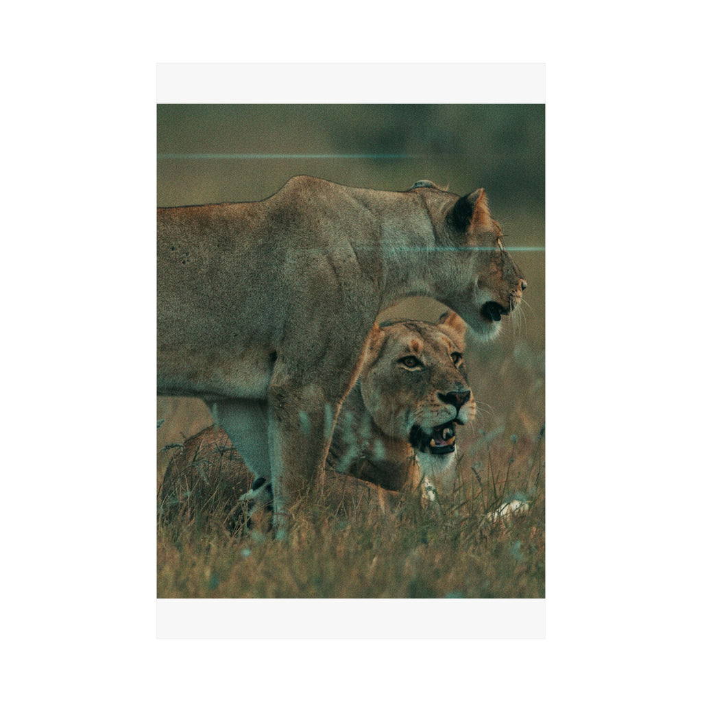 Cinematic — Lions — Matte Poster