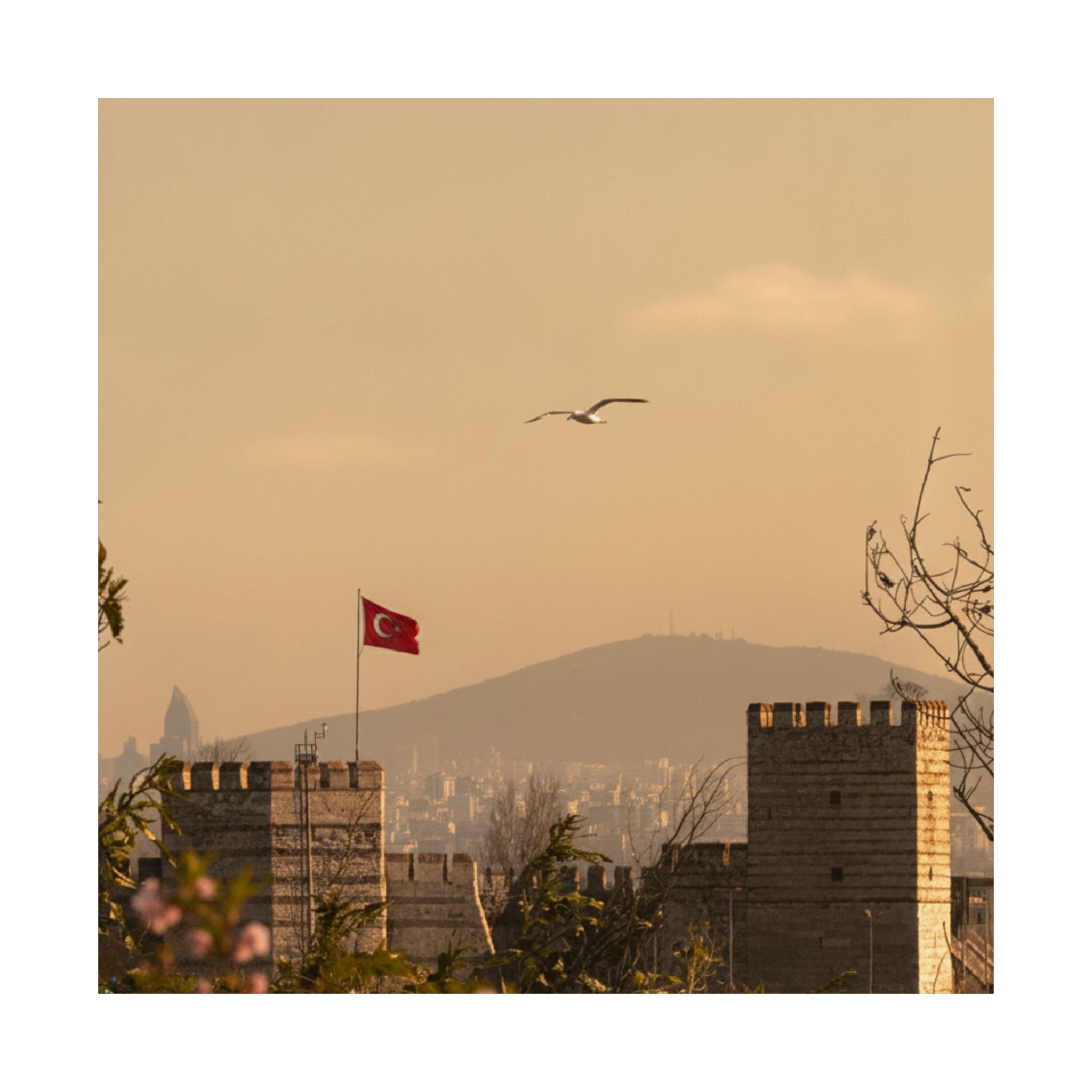 Scenic Nature — Fortress — Matte Poster