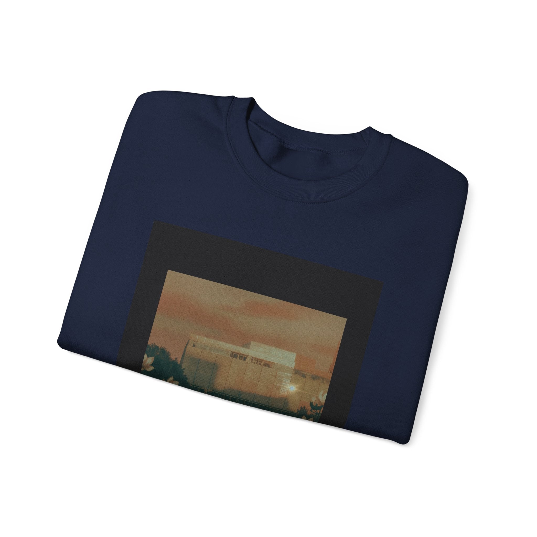 STEEL & SOUL crewneck sweatshirt — product view 20