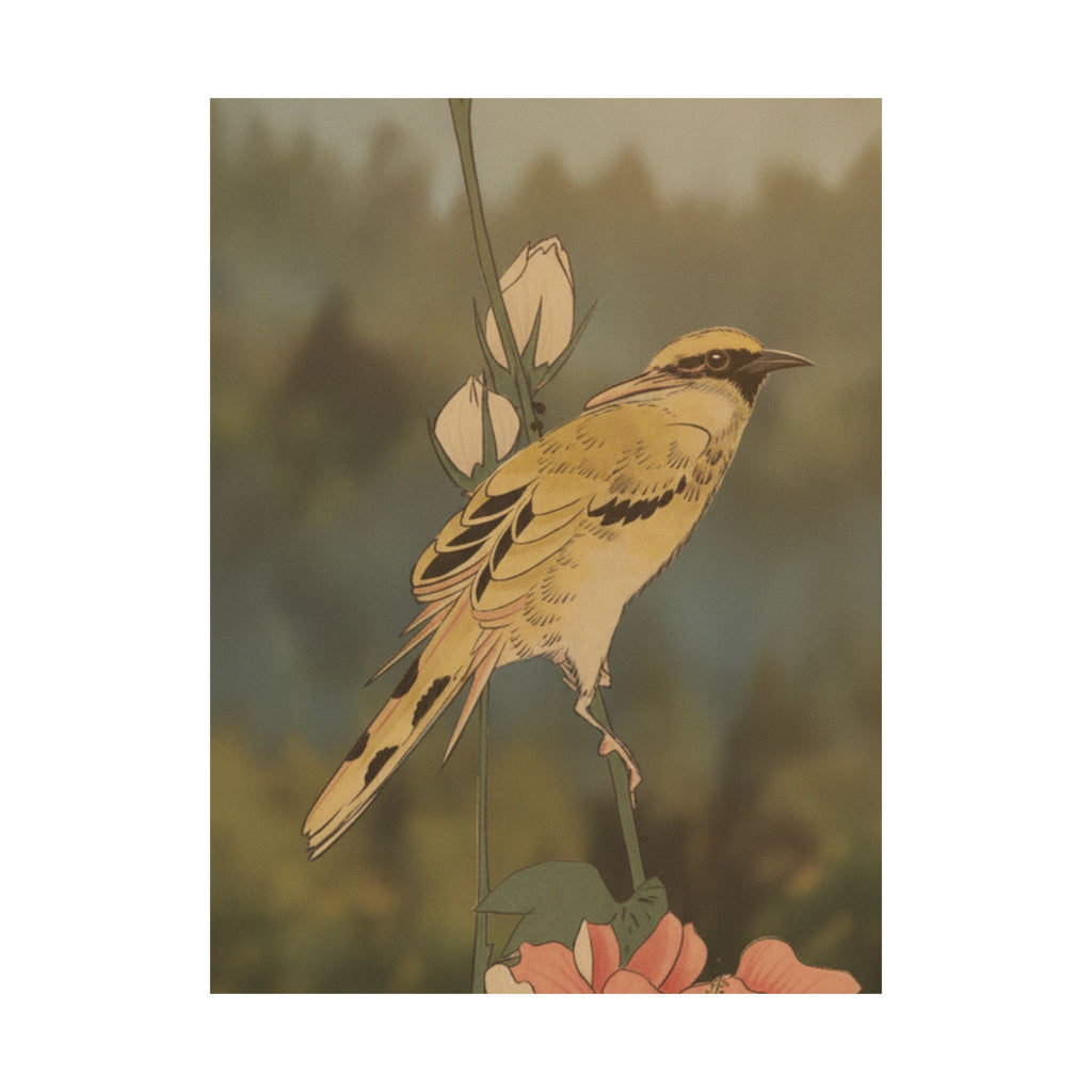 Scenic Nature — Black-Naped Oriole Perched On A Stem Of Rose Mallow — Matte Poster