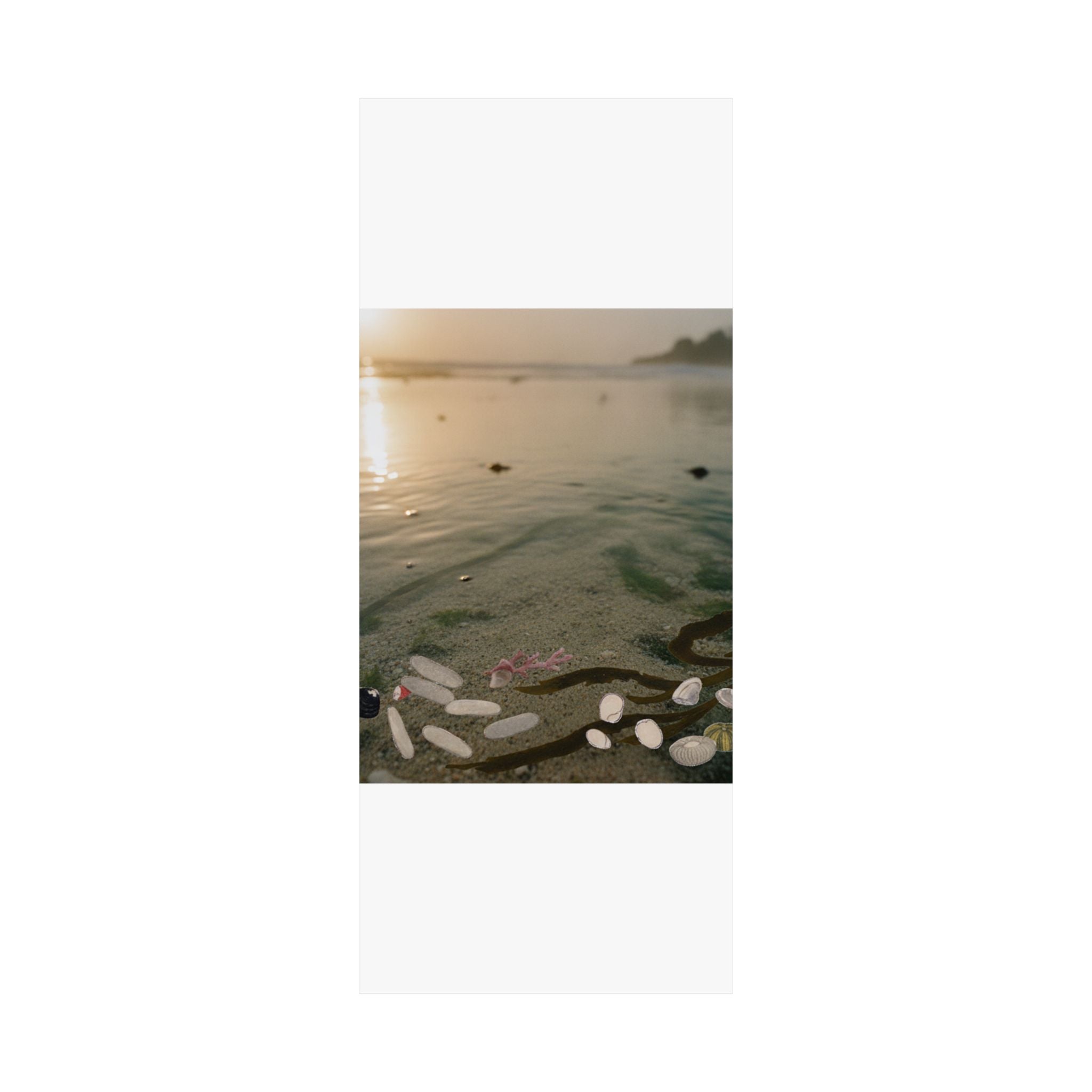 Scenic Nature — Shells Under Water — Matte Poster