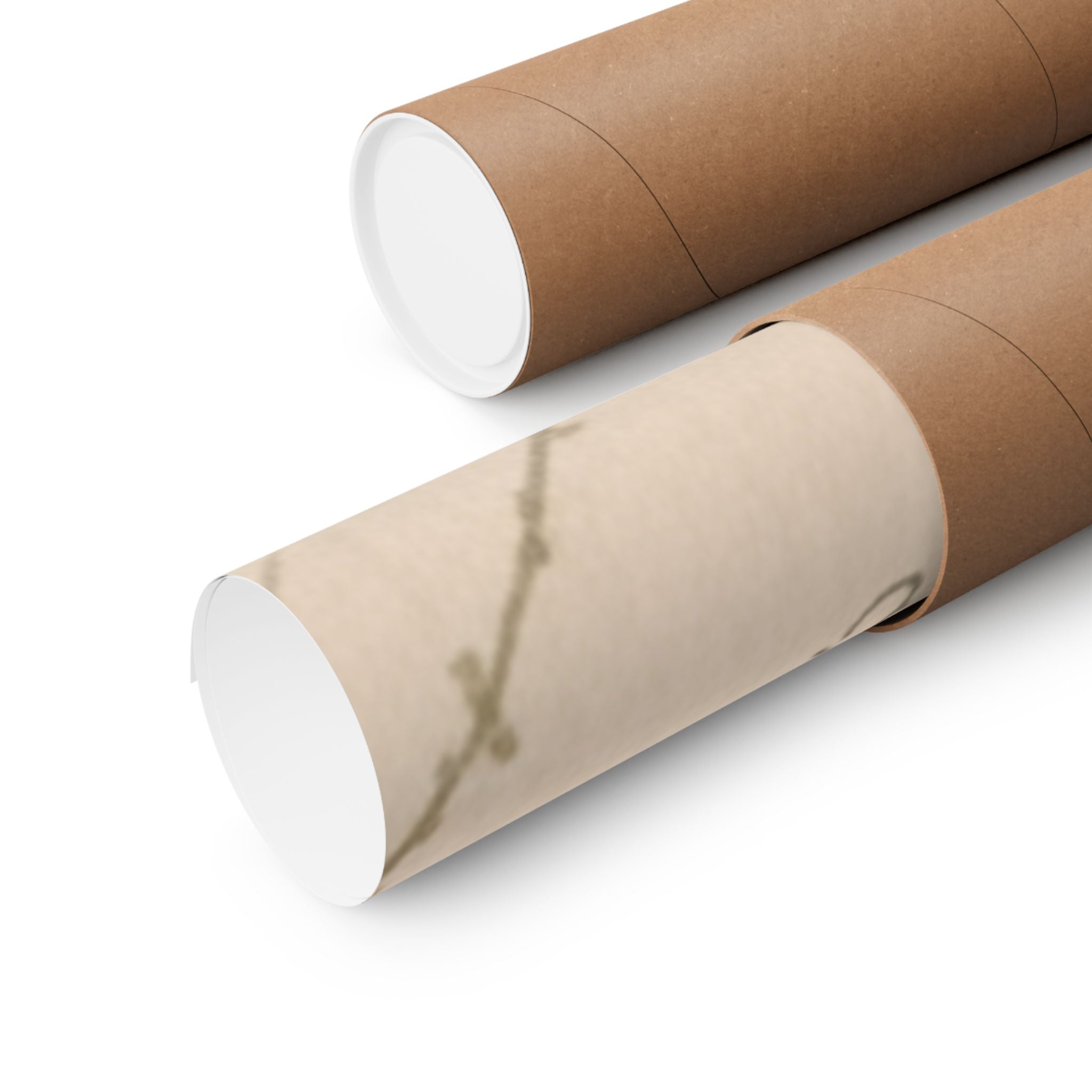 Botanical — Plum Blossom — Matte Poster