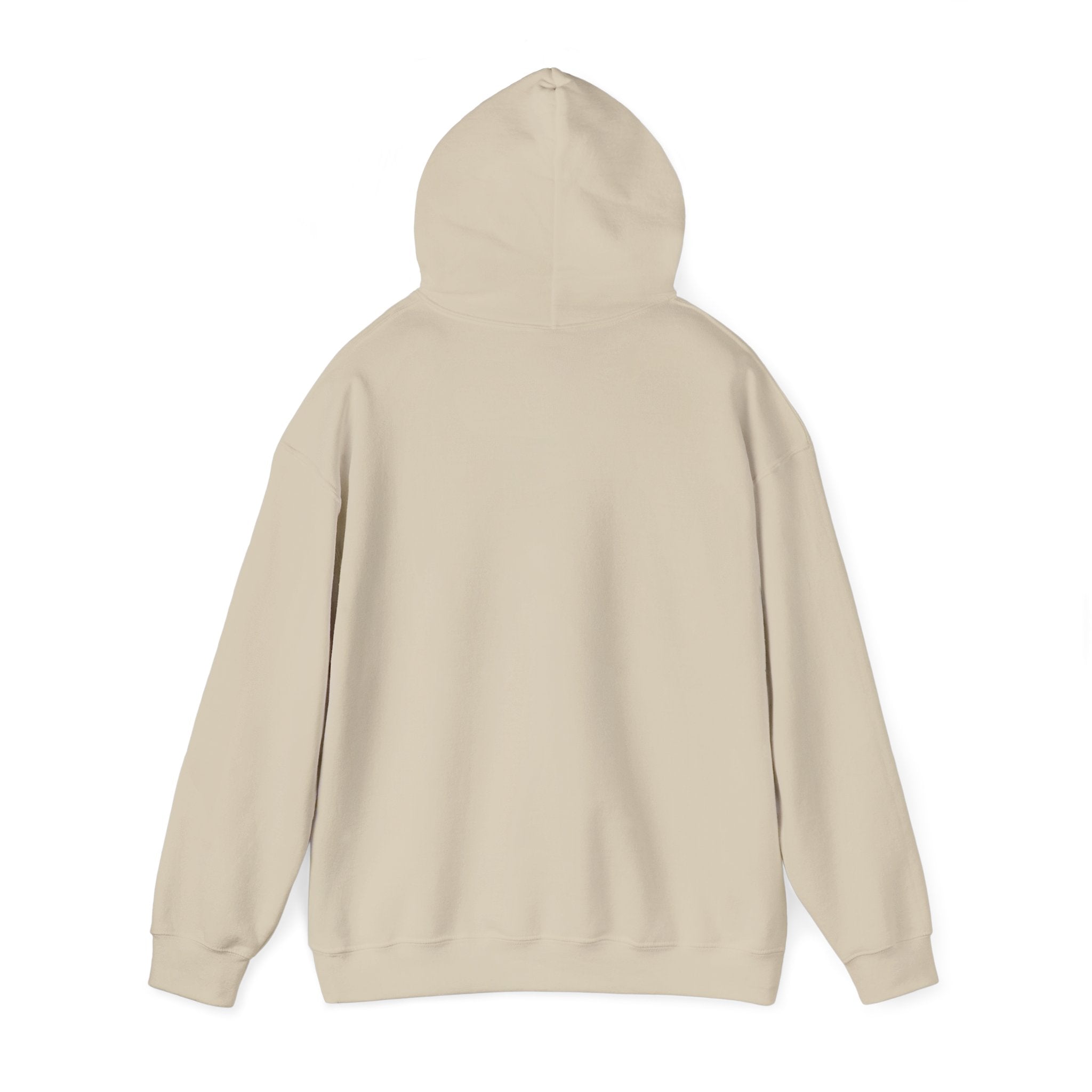 BUILD ANGLES hoodie — product view 3