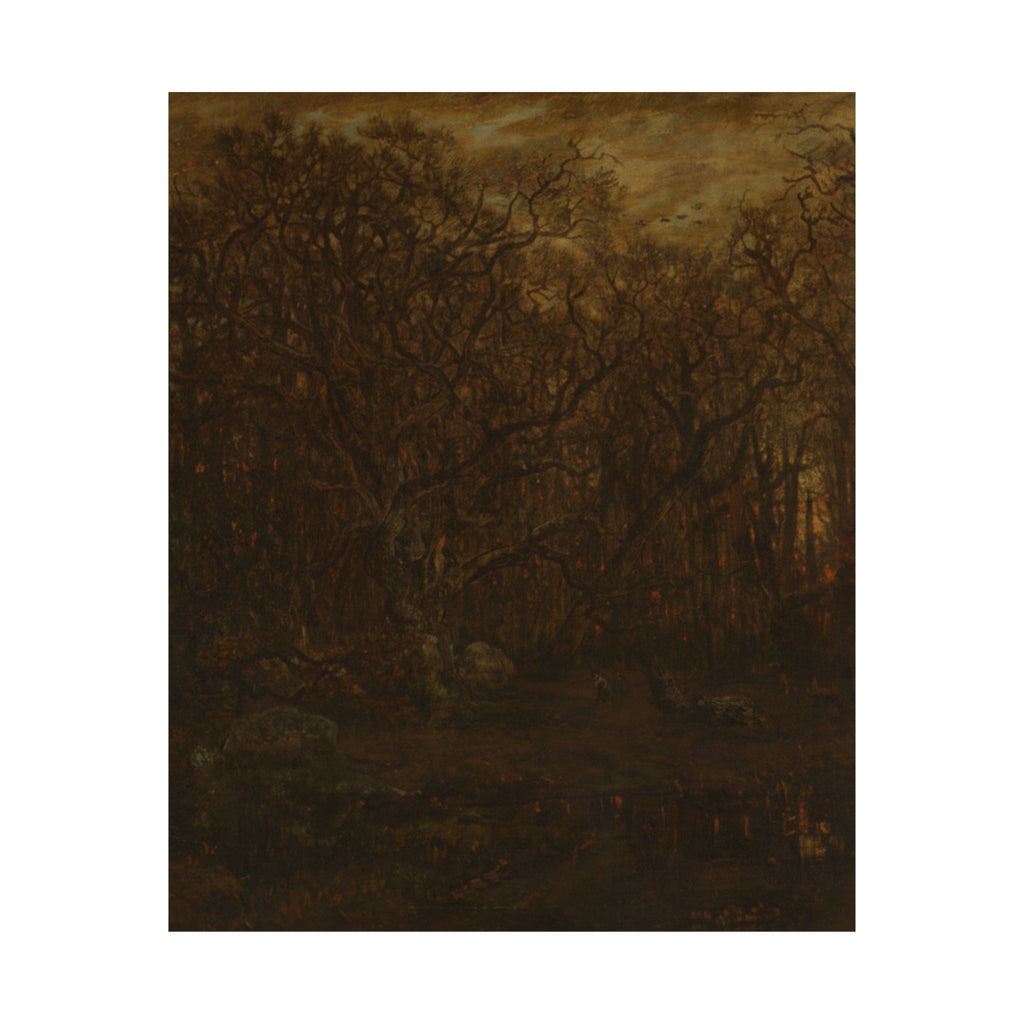 Scenic Nature — Forest — Matte Poster