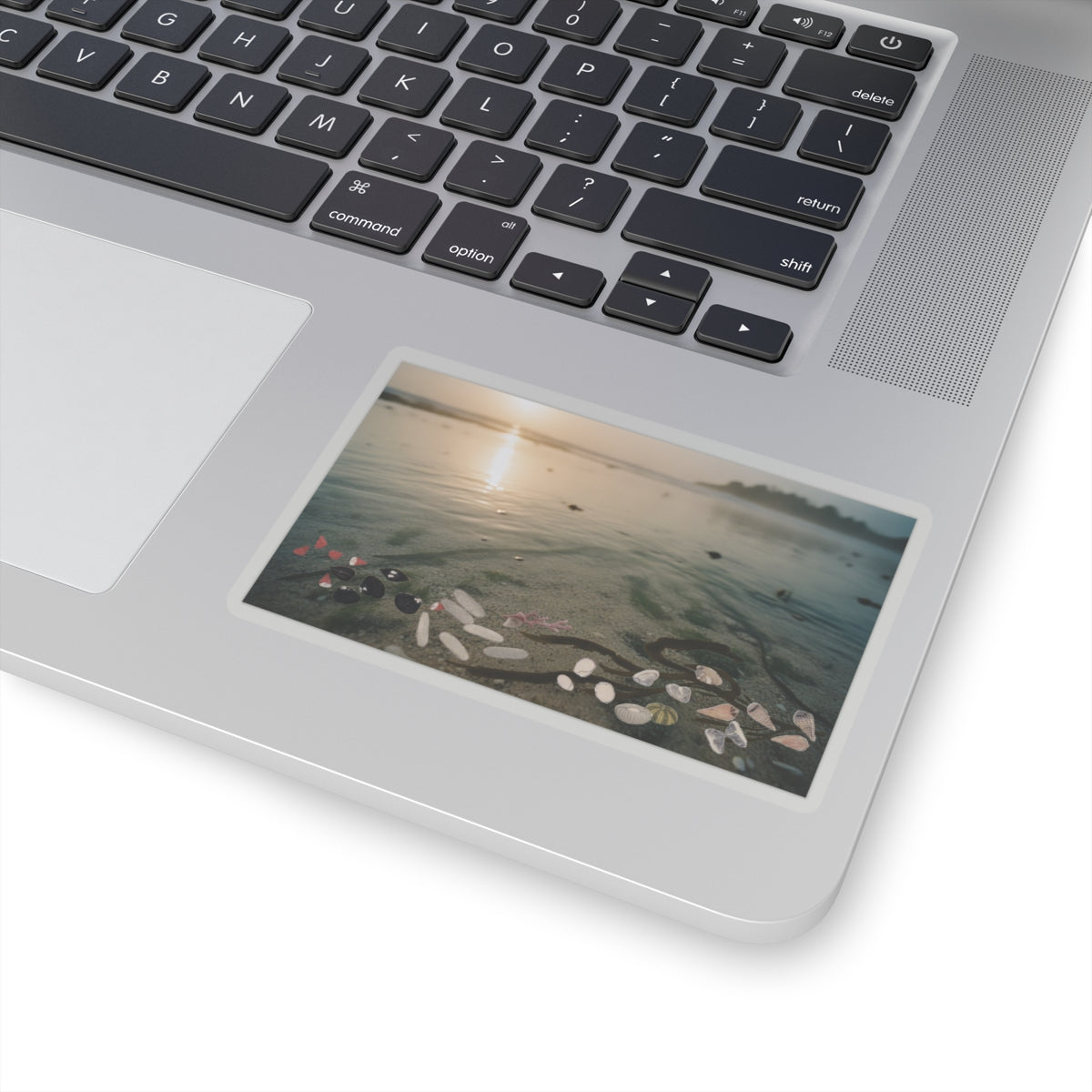 Scenic Nature — Shells Under Water — Kiss-Cut Sticker