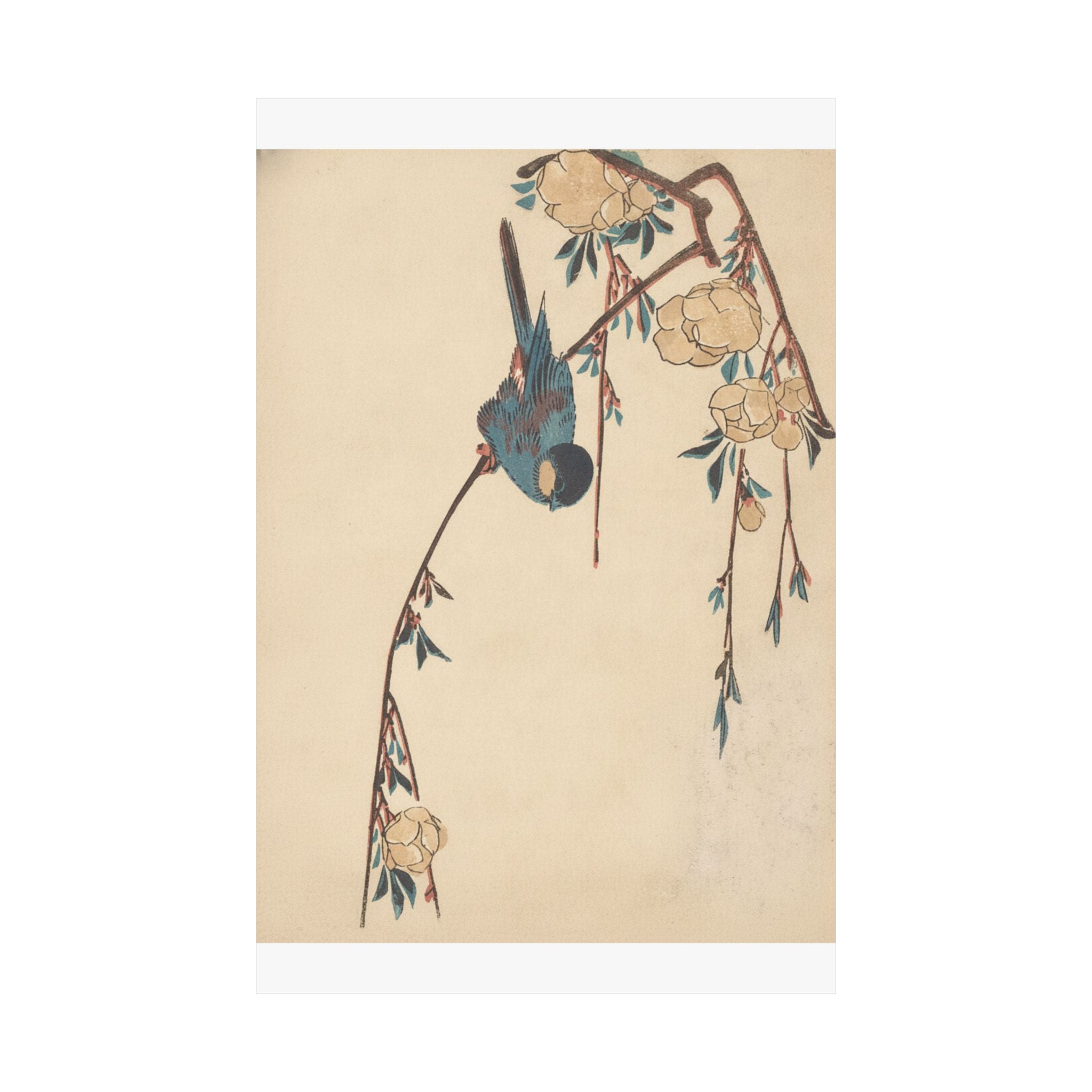 Botanical — Weeping Cherry — Matte Poster
