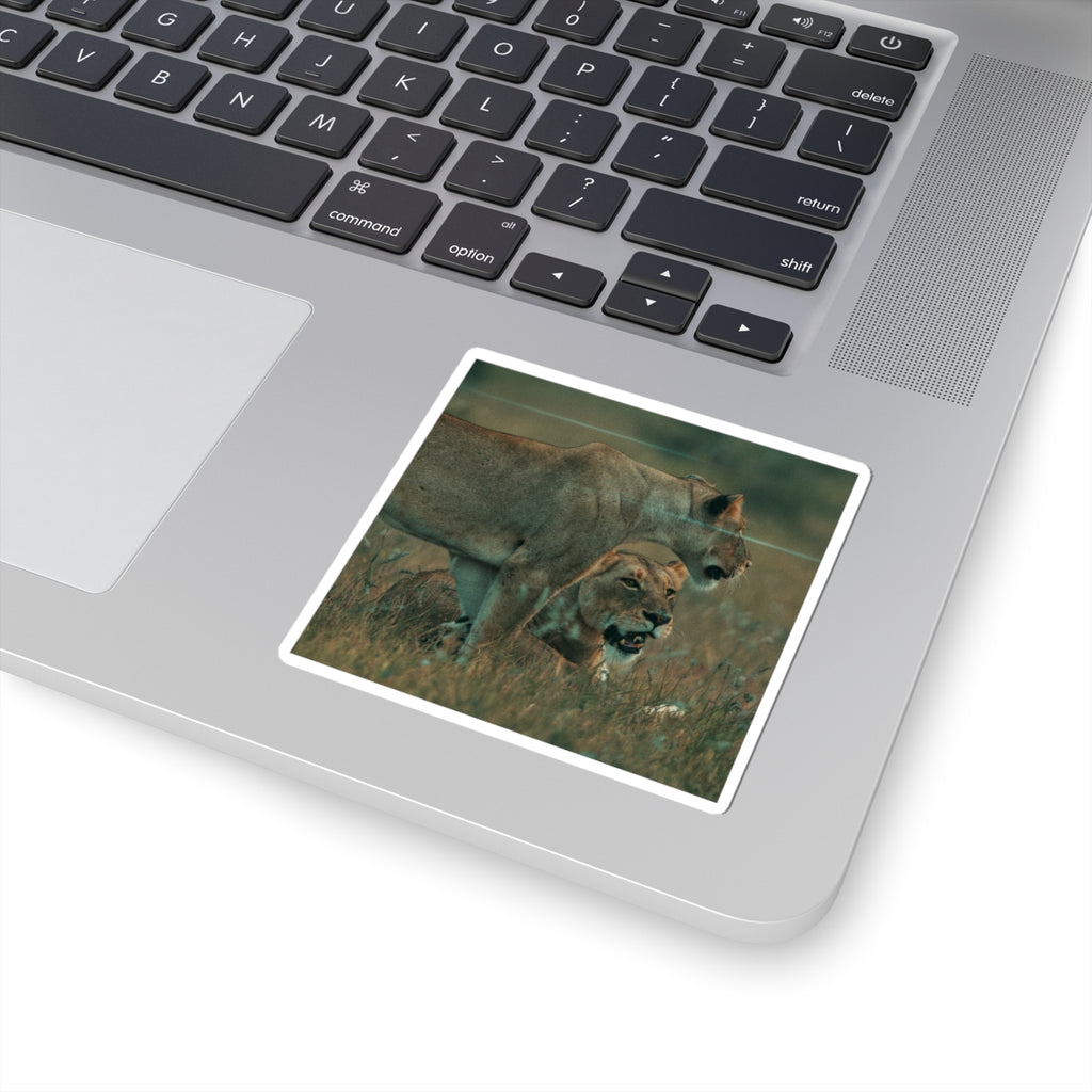 Cinematic — Lions — Kiss-Cut Sticker