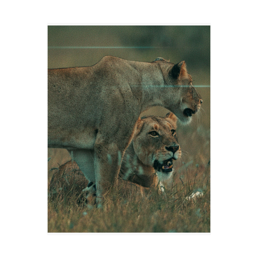 Cinematic — Lions — Matte Poster