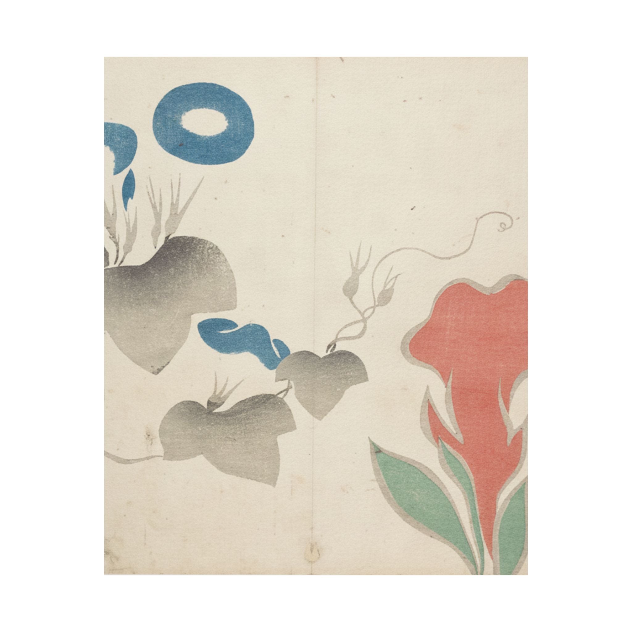 Watercolor — Design Of Morning–Glory And Other Flowers — Matte Poster