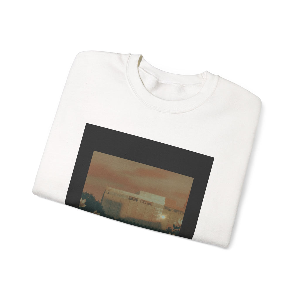 STEEL & SOUL crewneck sweatshirt — product view 8